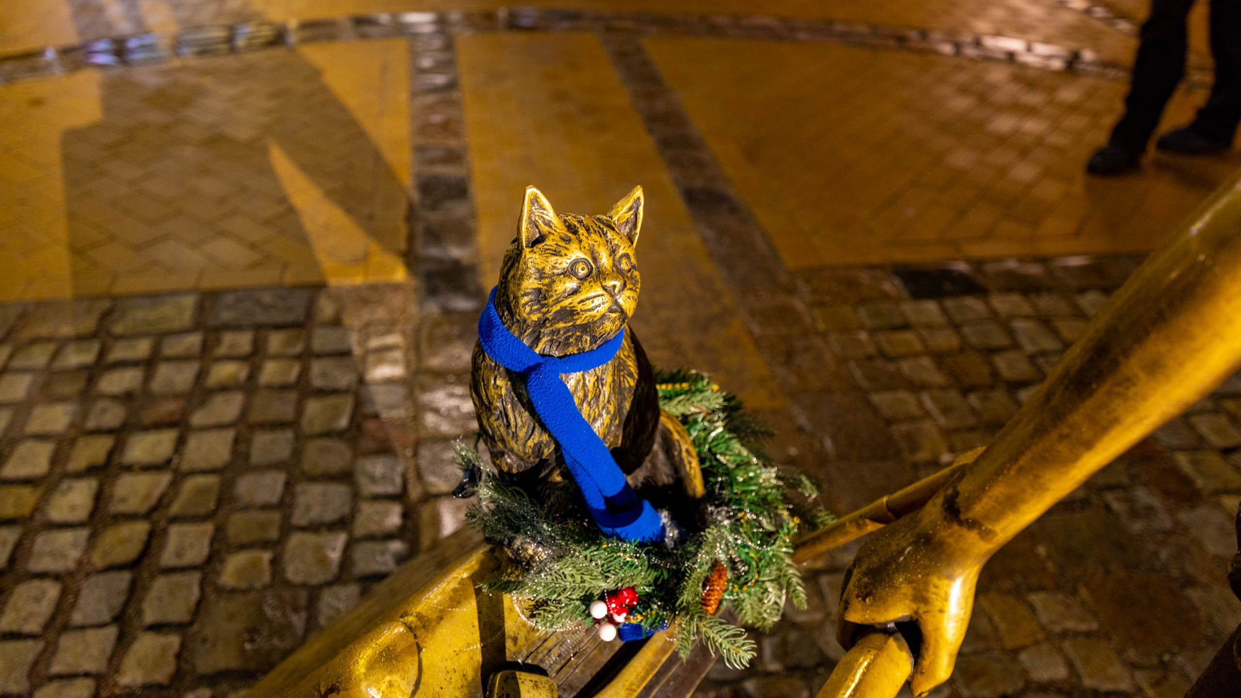 2024 01 Калининград (Светлогорск, Зеленоградск). Фотографии