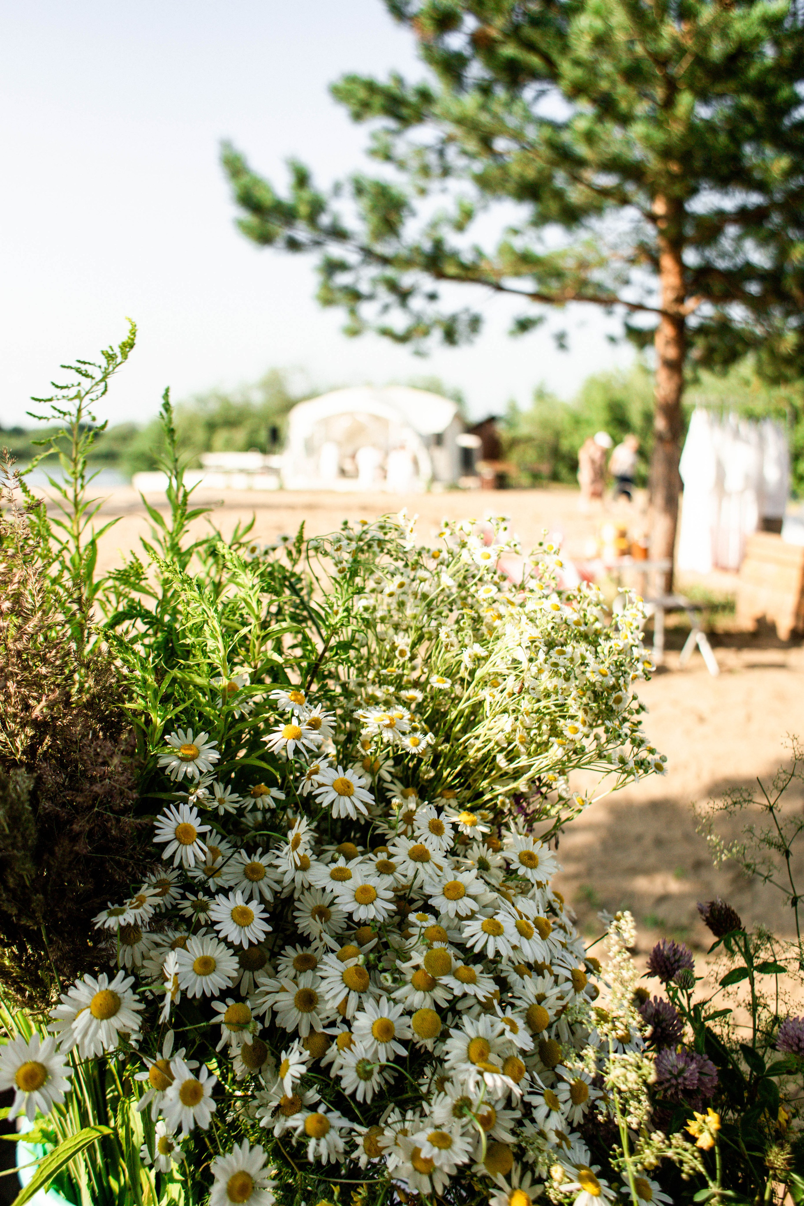 Ивана Купала Гребной канал. Фотограф в Нижнем Новгороде