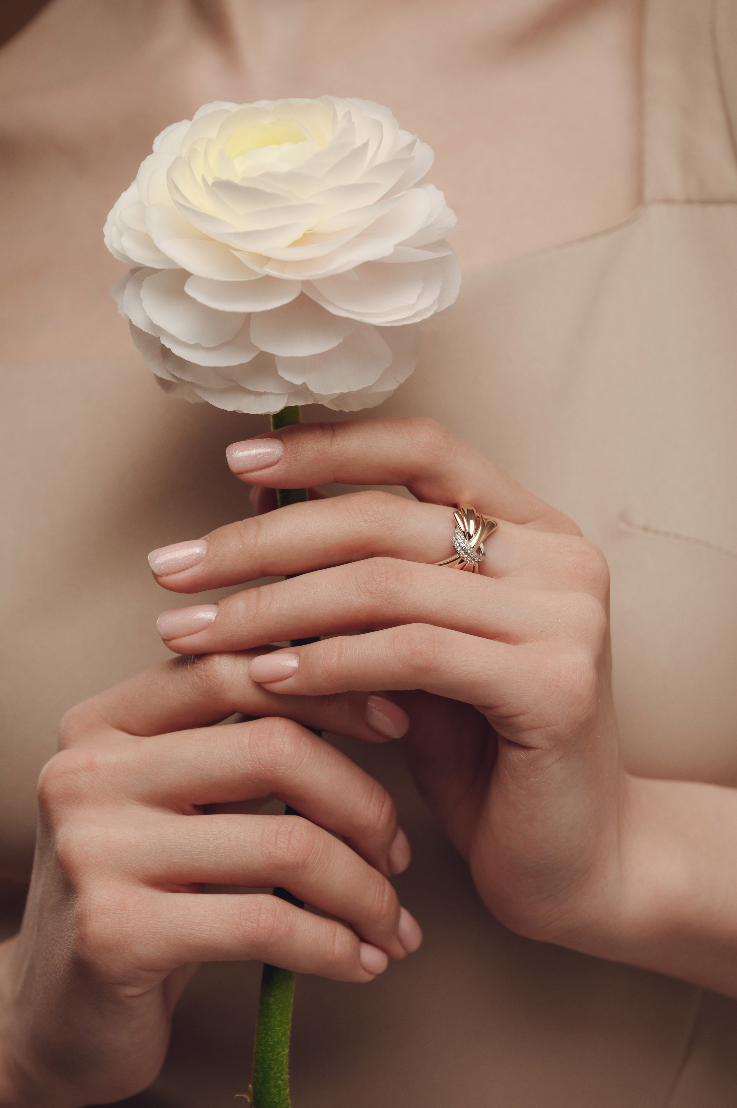 585 Золотой Евразия