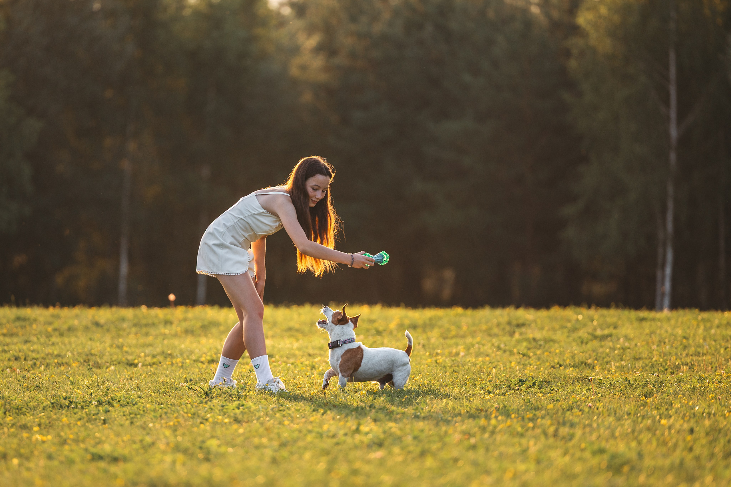 Юлиана и Риф (в обработке). Фотограф Анималист в Москве Анастасия Жучкова