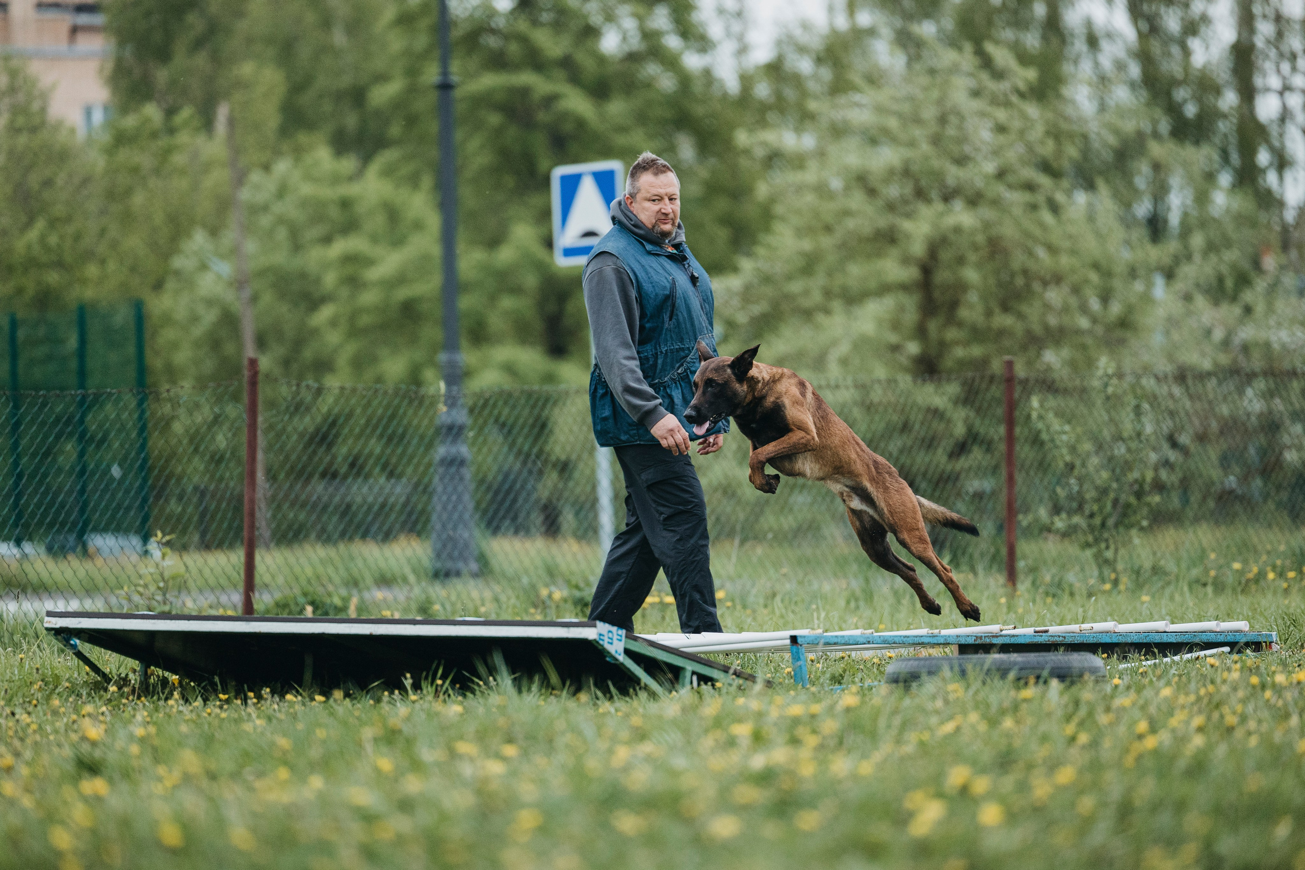 26.05.25 г. Пушкин квалификационные соревнования. Фотограф-анималист Анна Маринич