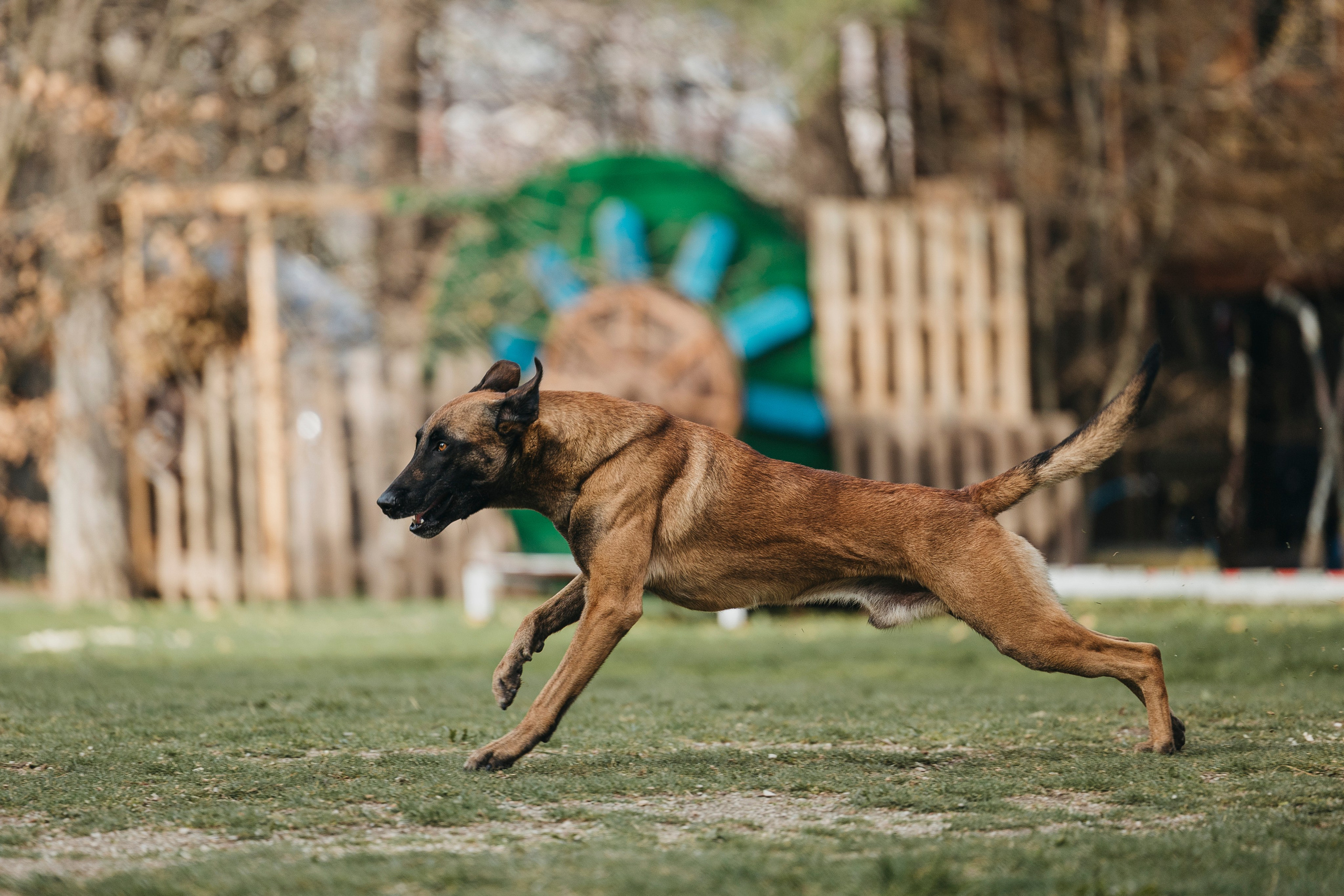 Геленджик Мондьоринг. Фотограф-анималист Анна Маринич