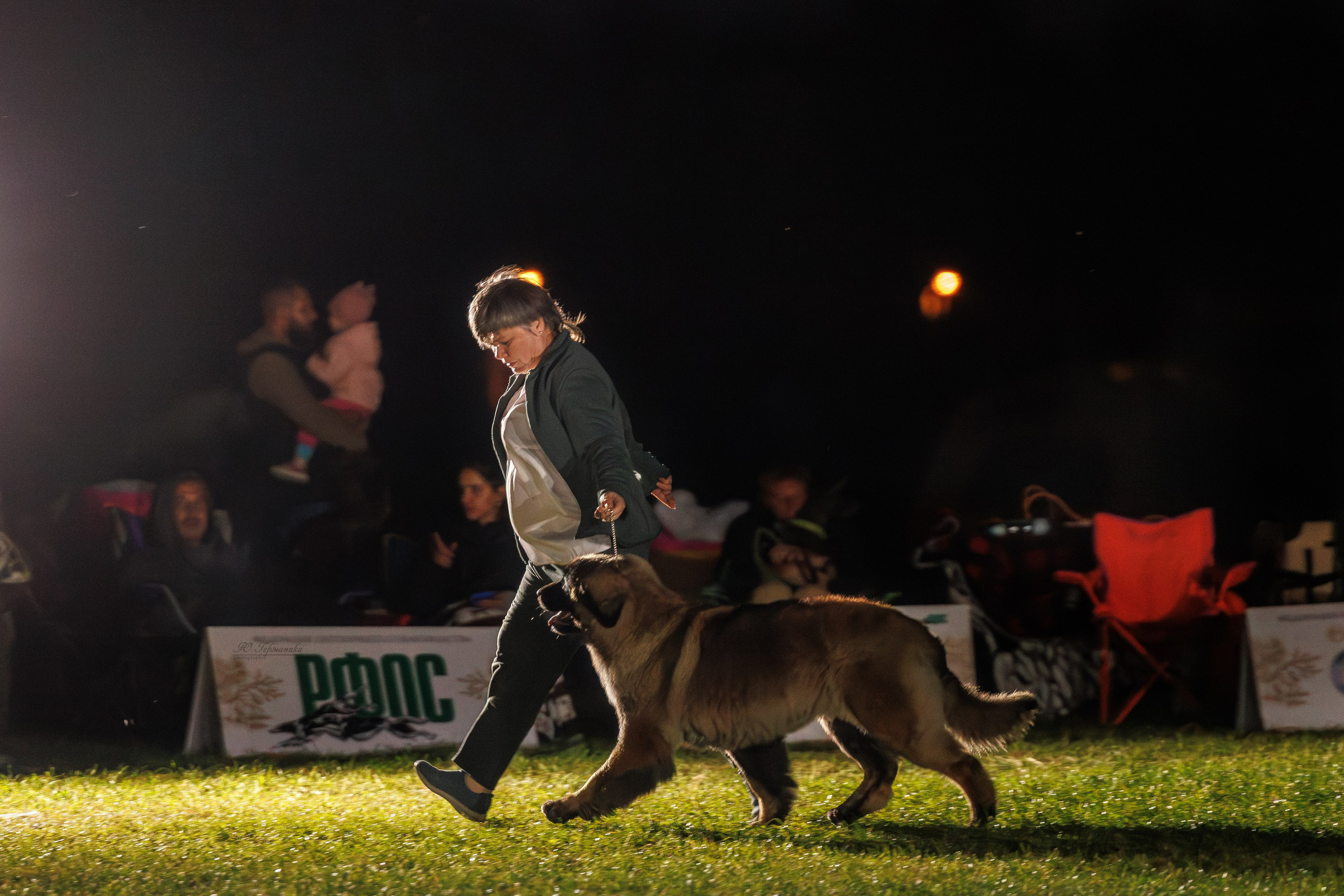 Переславль 5-7.08.2025. Фотограф-анималист Юлия Германика