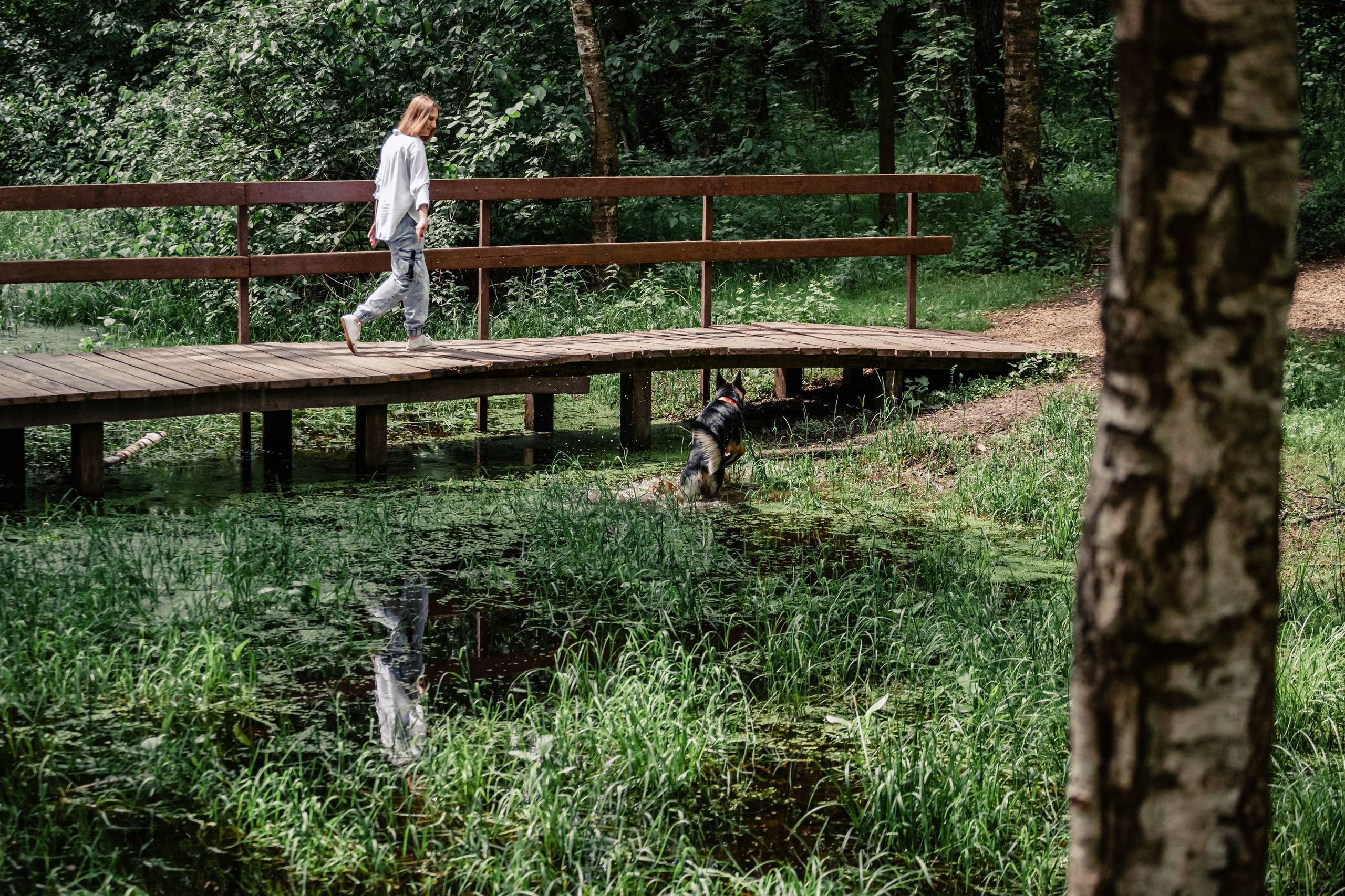 Лесная летняя фотопрогулка. Фотограф-анималист Татьяна Степанова