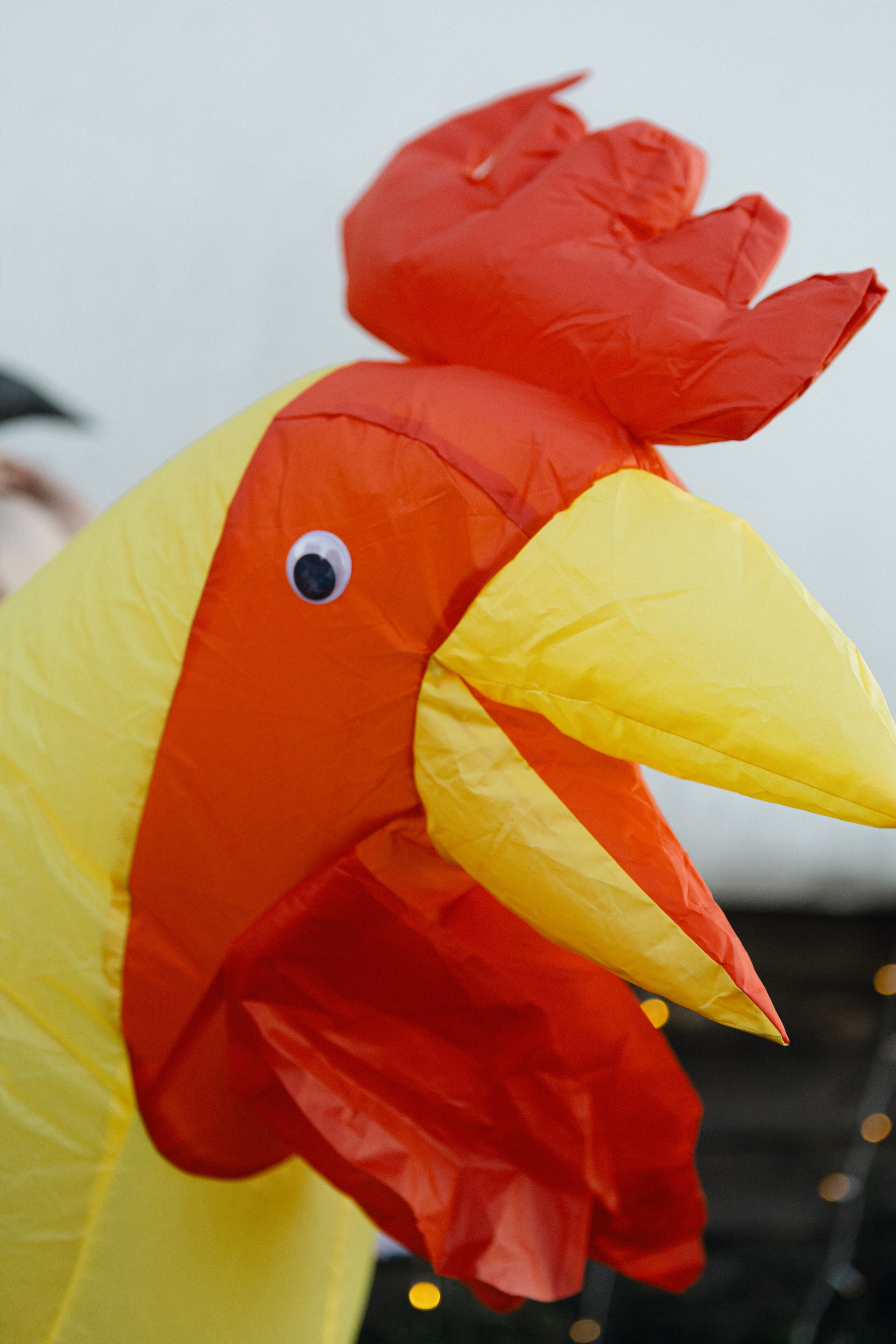 Екатерина и Родион. Фотограф Дубровская Виктория