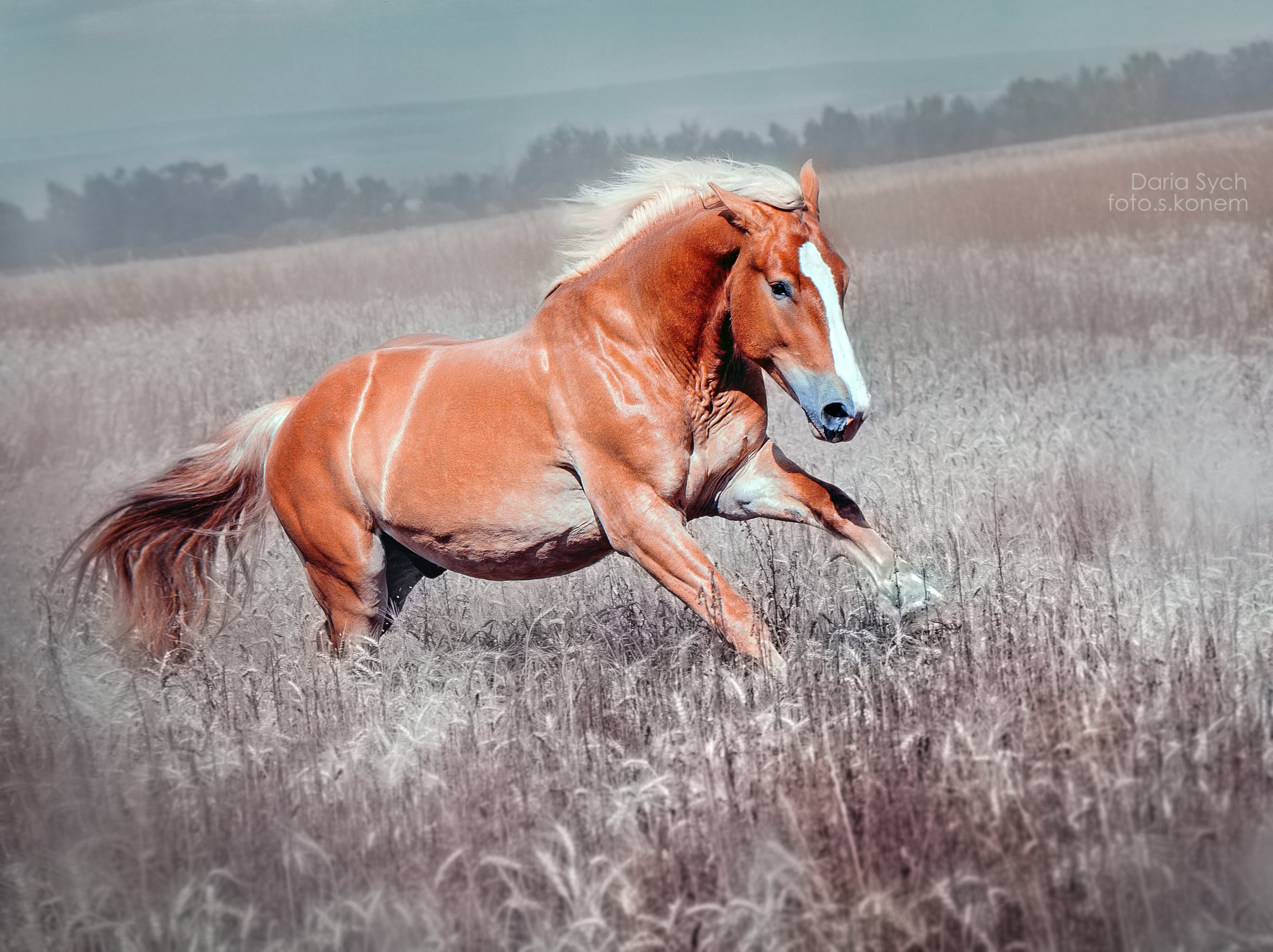 Летний зной. Фотограф Дарья Соколовская