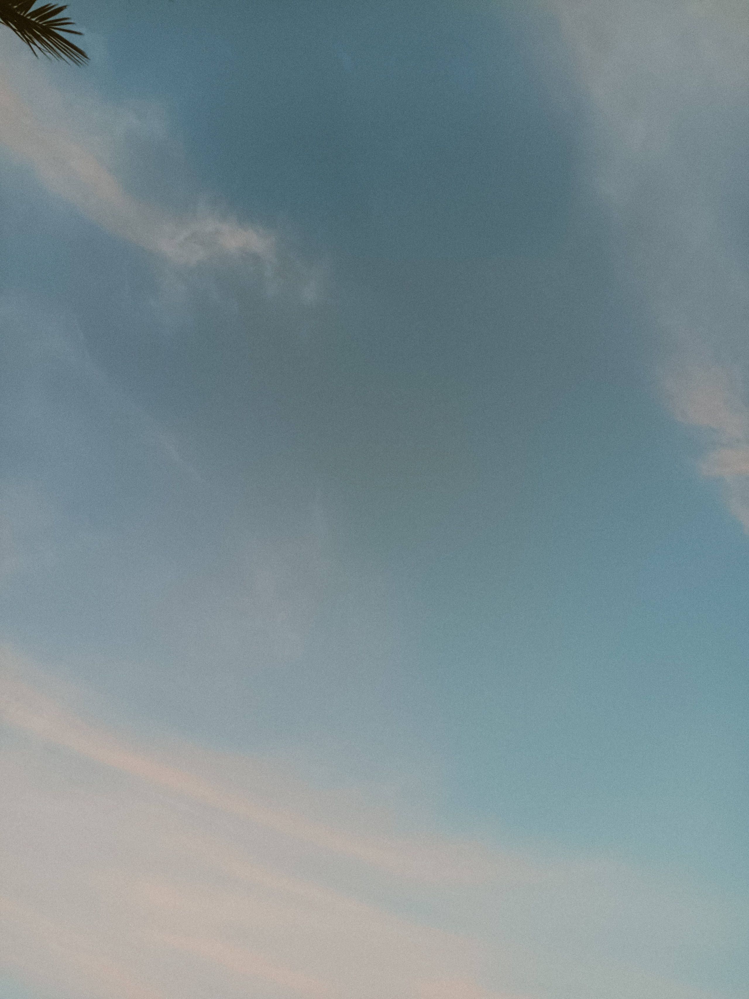 Мобильная. Jorgis — фотограф в Хургаде / обучение фотографии