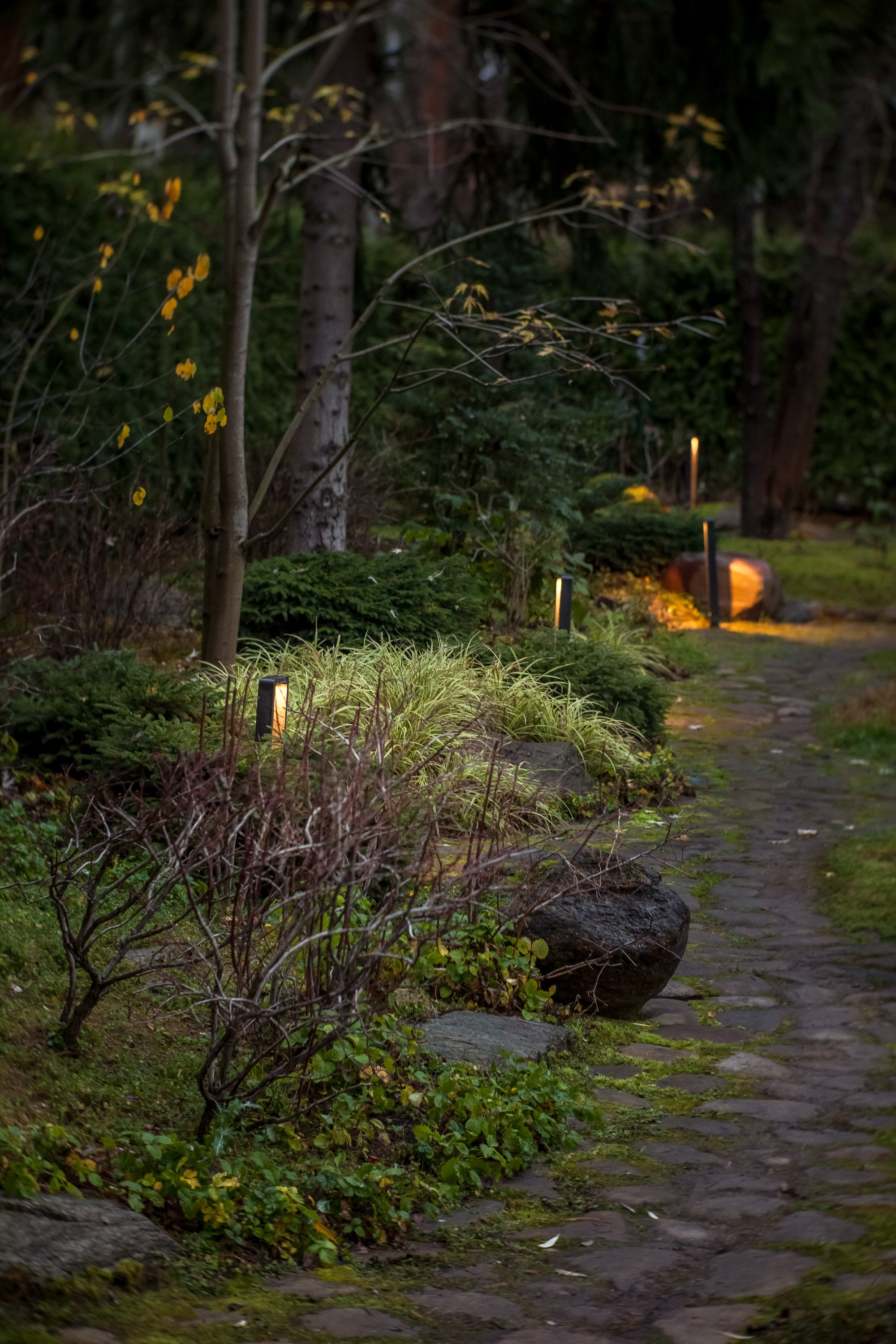 Сад «Сиреневый туман» (автор сада: Елена Асташкина). Туманов Виталий — фотограф Москва