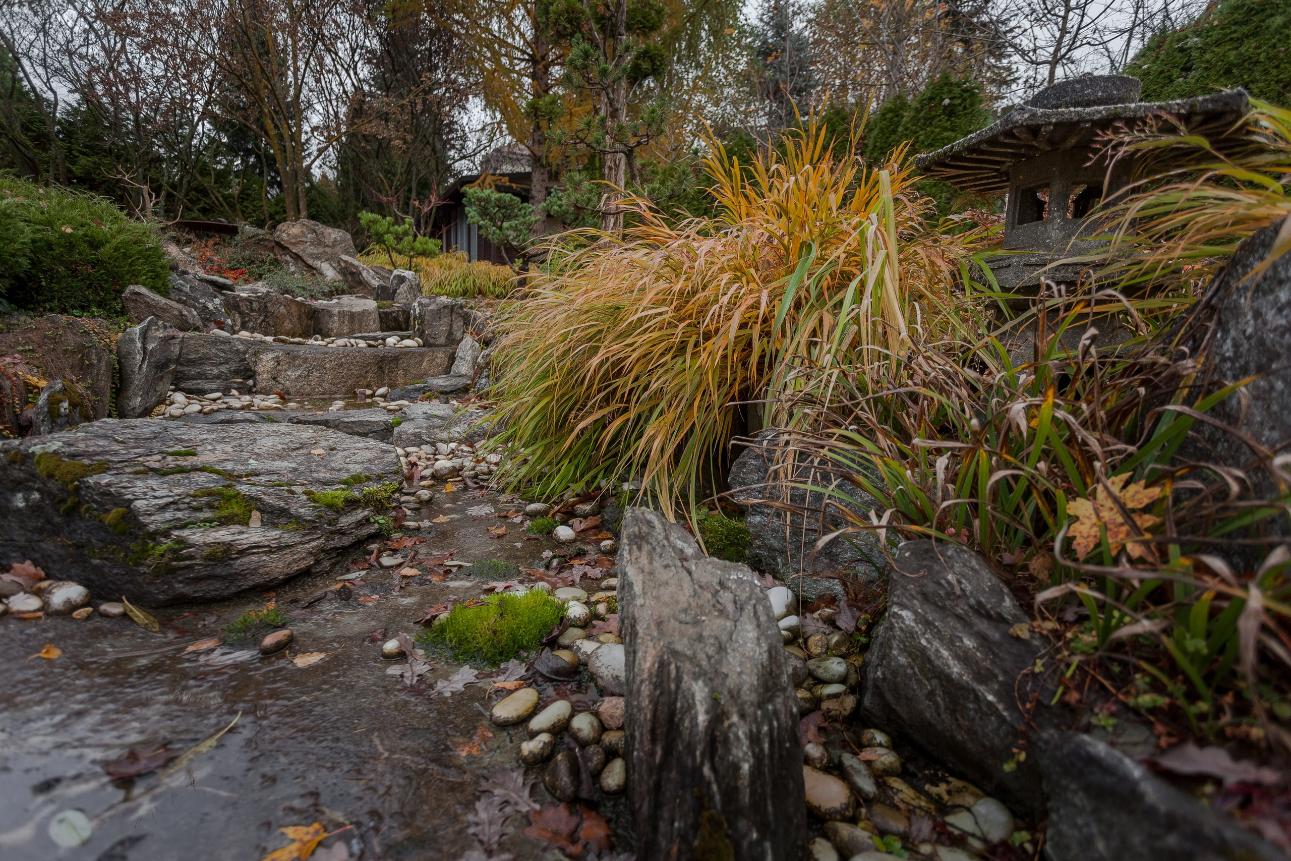 Личный сад Елены Асташкиной (осень). Фотограф Виталий Туманов. Туманов Виталий — фотограф Москва