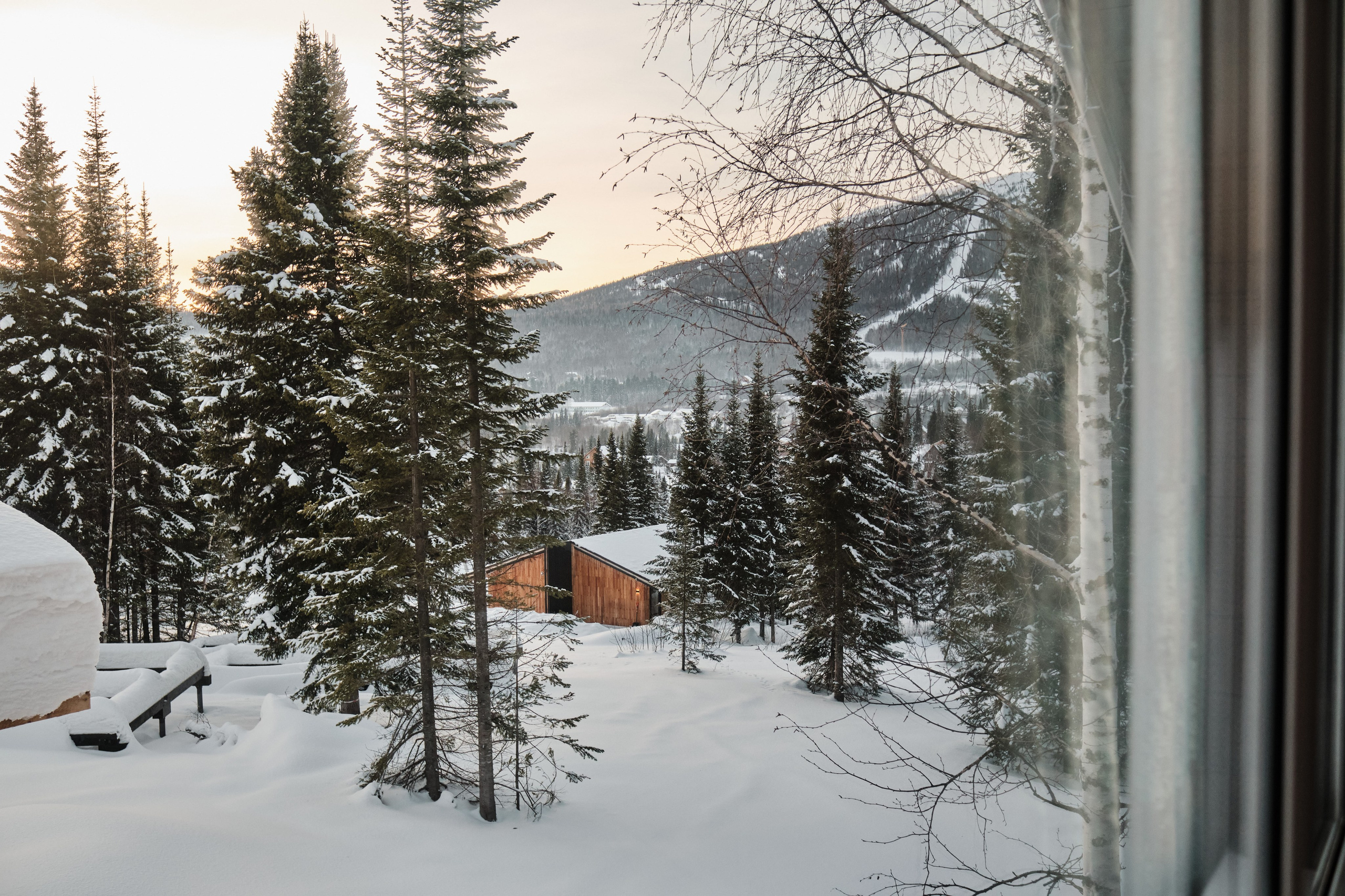 Рябиновая 126. Свадебный и семейный фотограф в Новокузнецке Иван Иванов