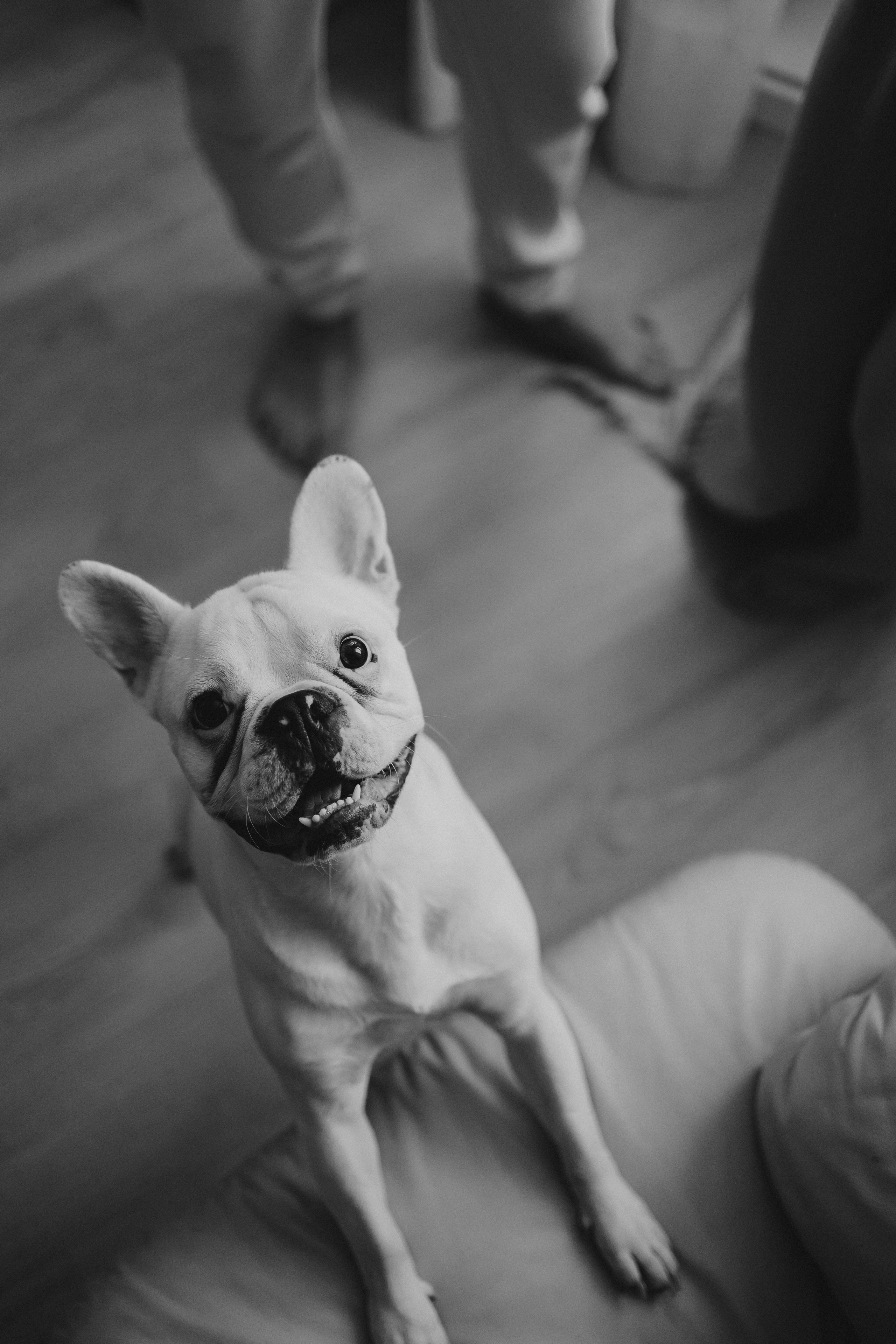 L&G. Свадебный фотограф Лиза Макатович Беларусь Минск