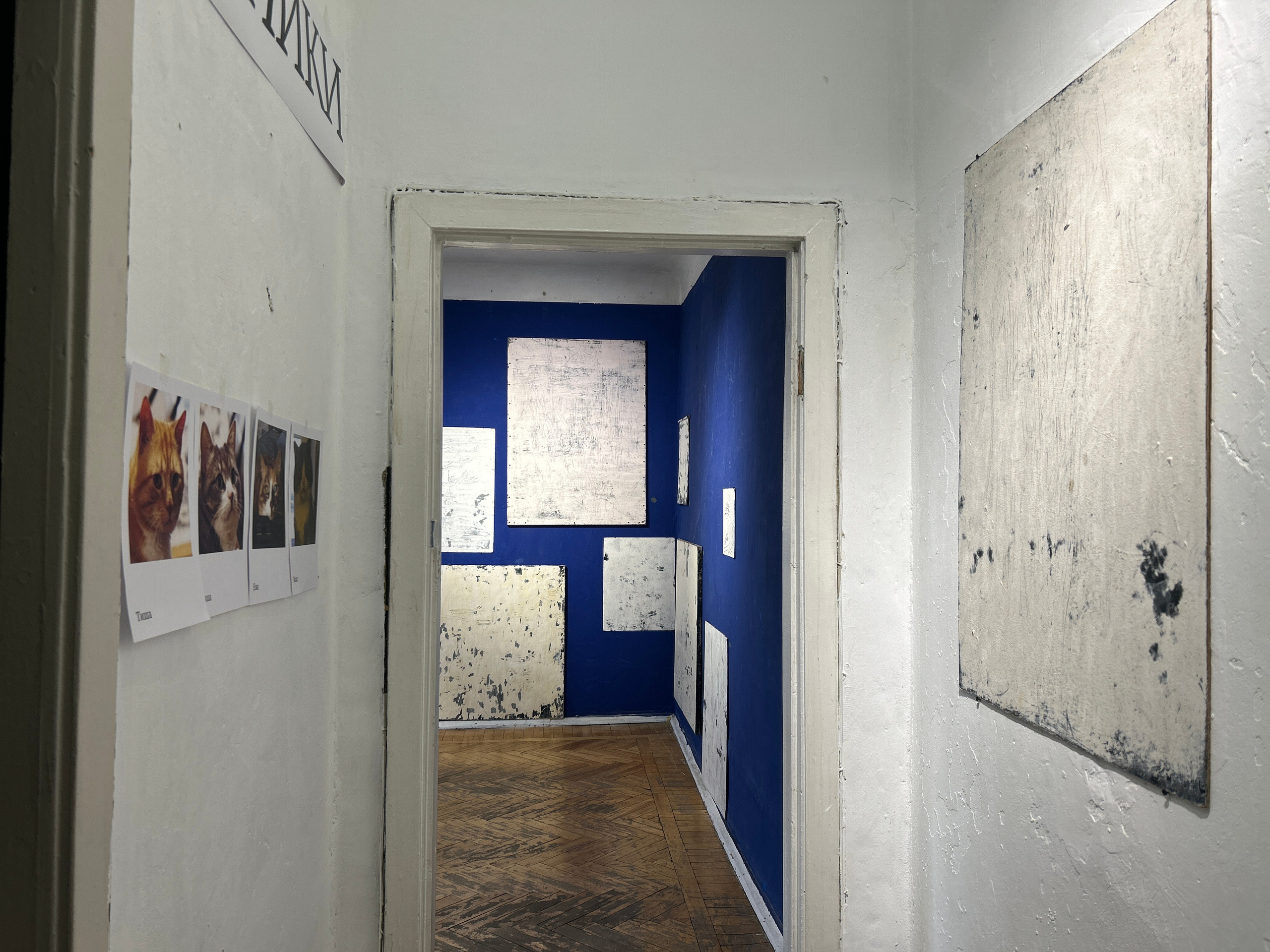 Коты-художники. Илья Крончев-Иванов