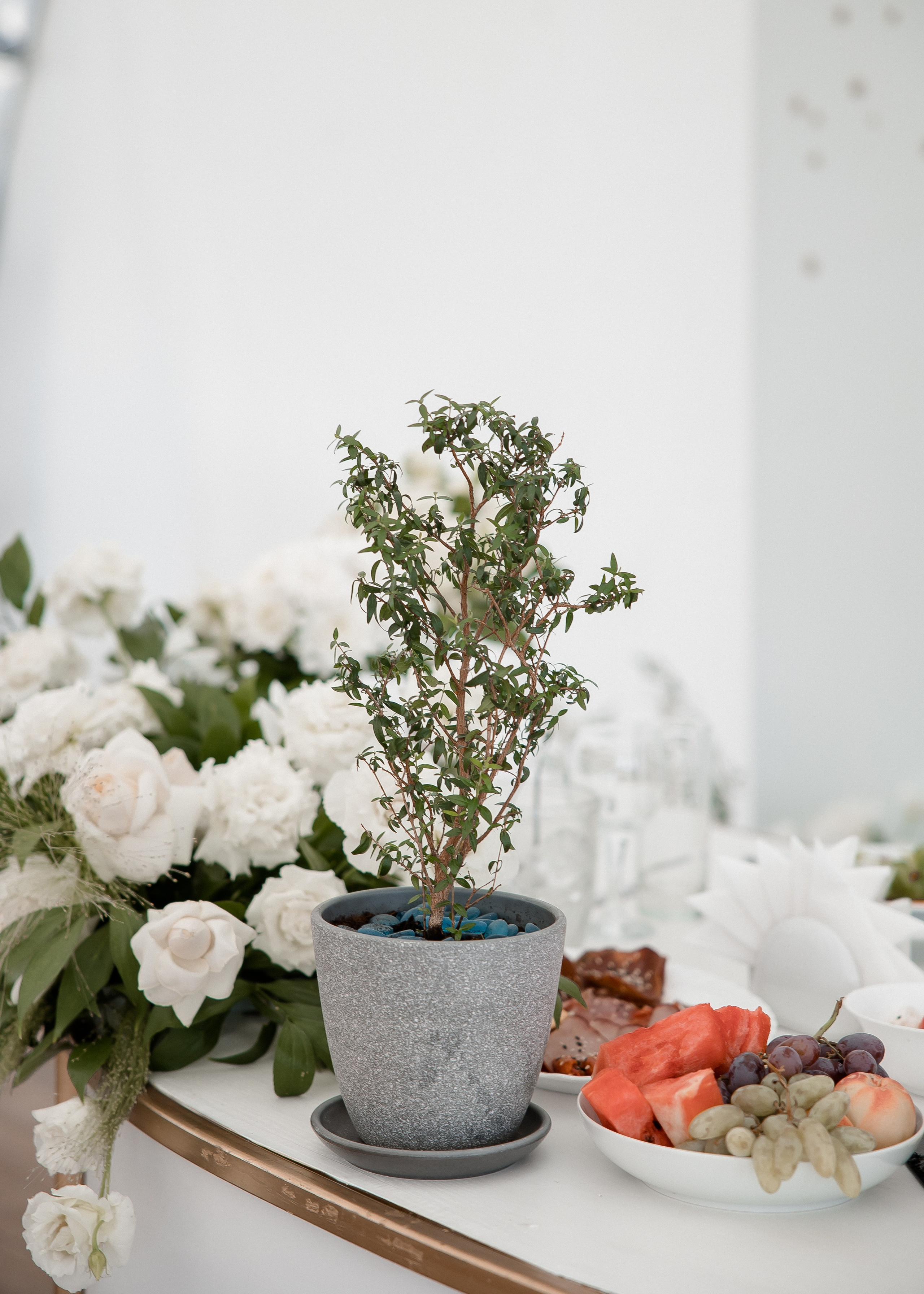 Алина + Паша. Свадебный и семейный фотограф в Саратове Маша Паника