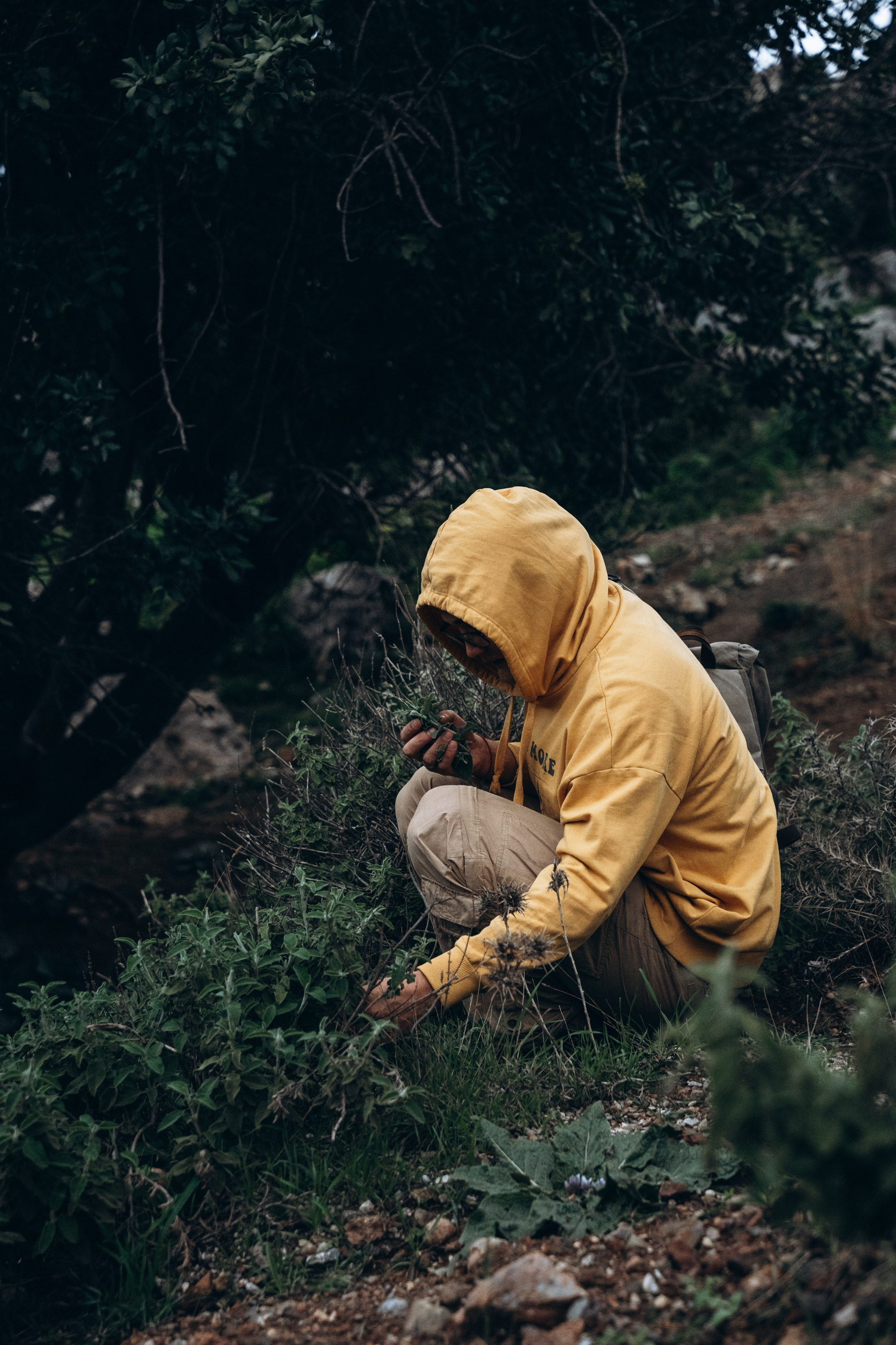 Пили, Кос 🇬🇷. Anita_photo
