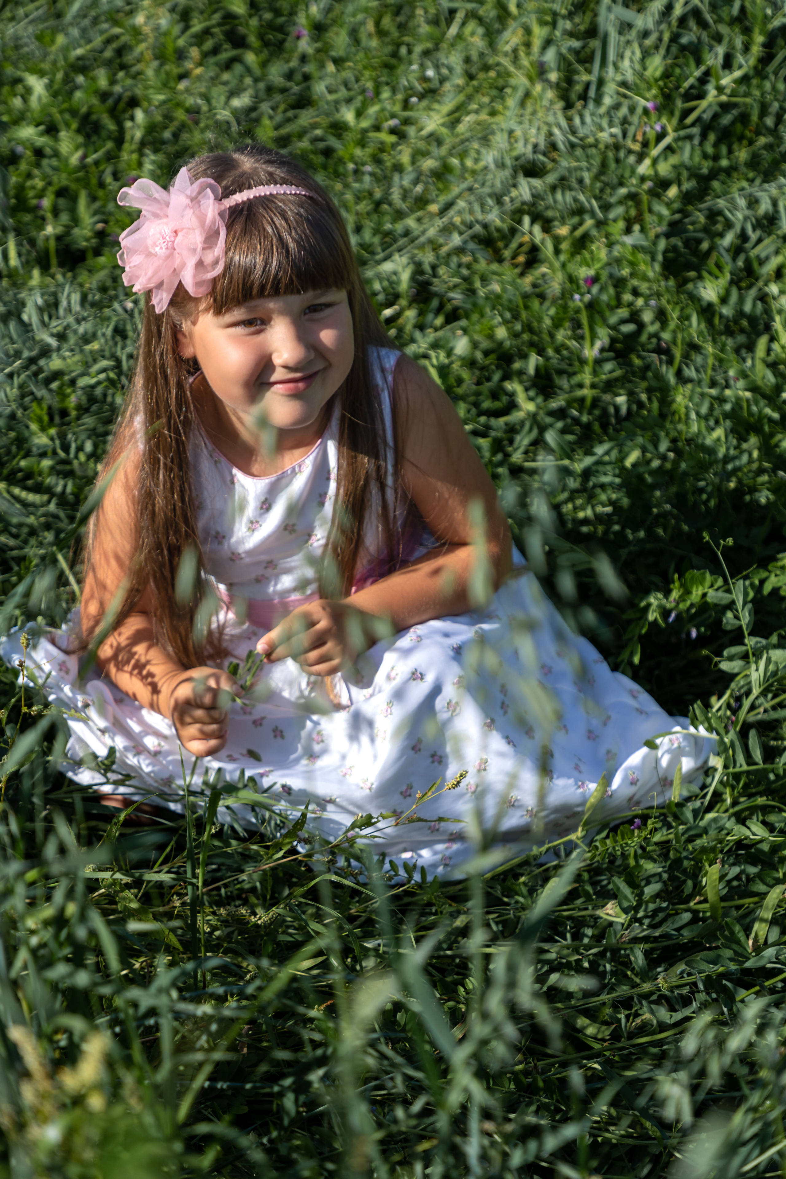 Фотосессия в поле овса. Коммерческий фотограф Андрей Тремасов