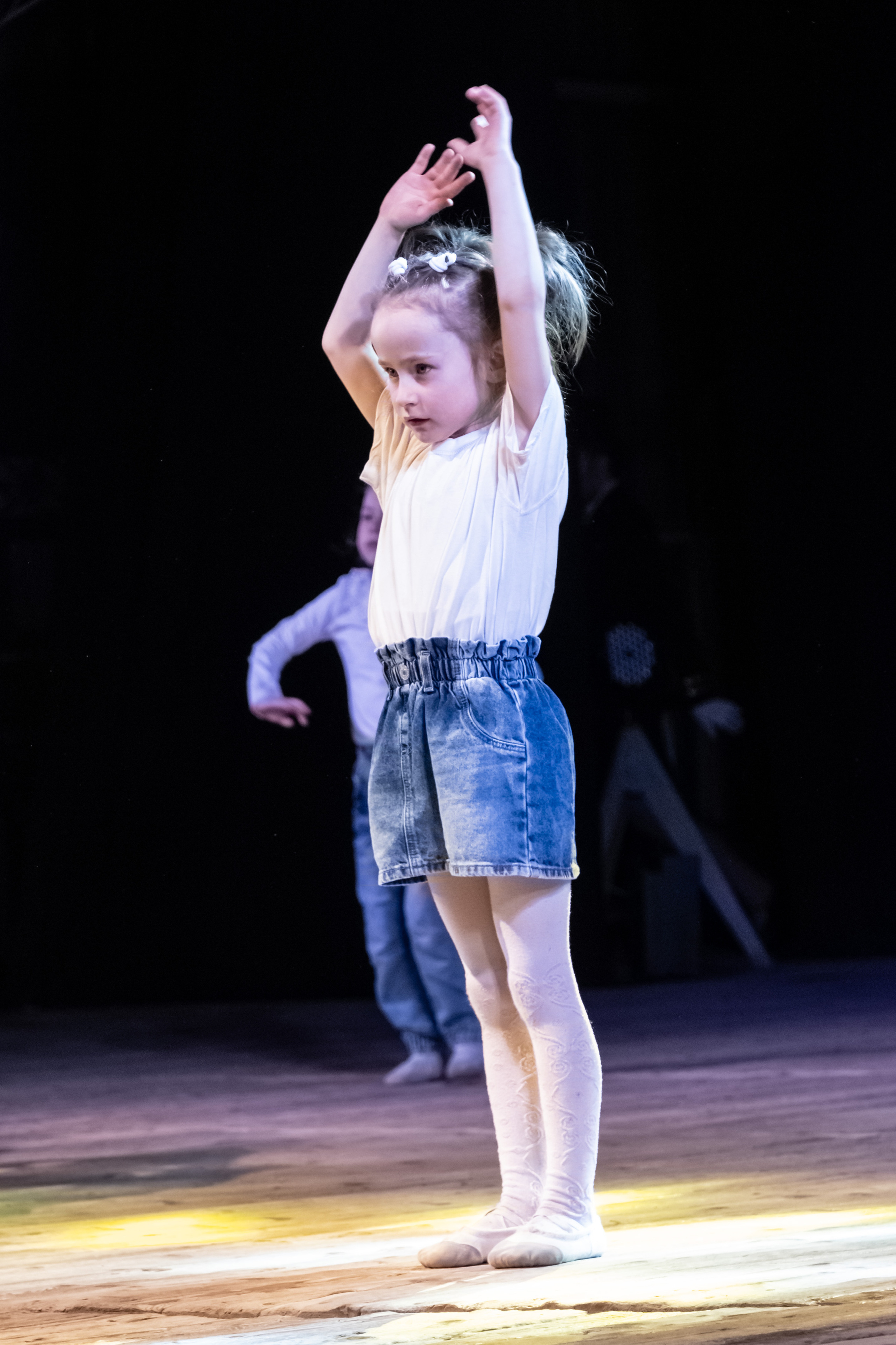 Балет Натальи Гурдиной. Коммерческий фотограф Андрей Тремасов