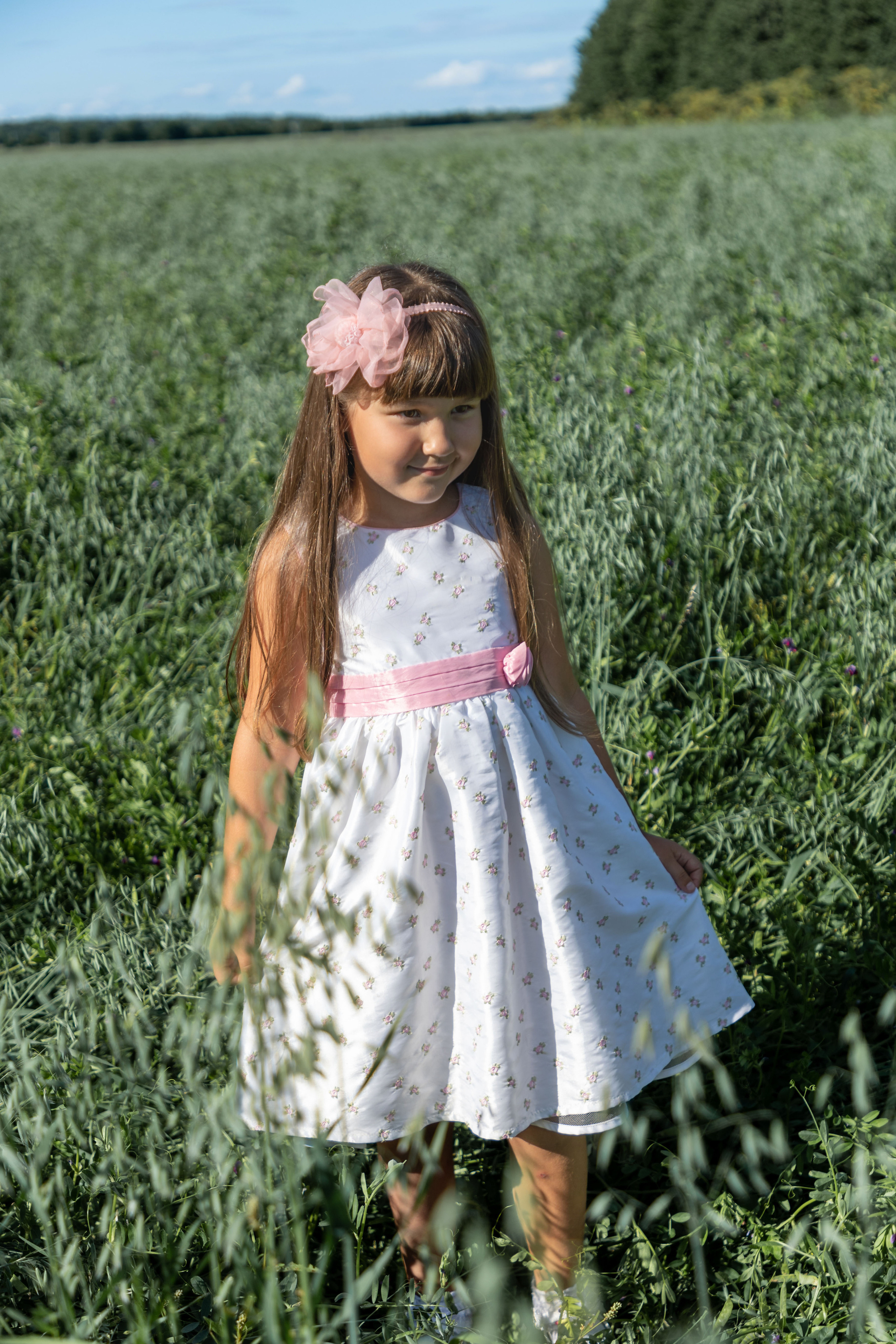 Фотосессия в поле овса. Коммерческий фотограф Андрей Тремасов