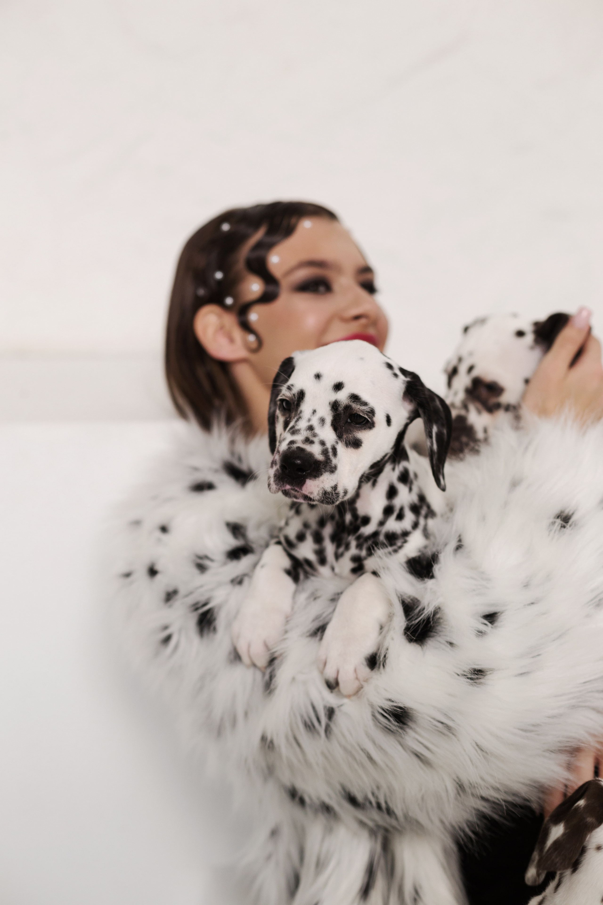 Md:@m_korsunenko Hair: @aleksandrova.hair Org: @creative_photoday Loc: Ark studio | фотостудия СПБ Dogs: vk.com/club2372836