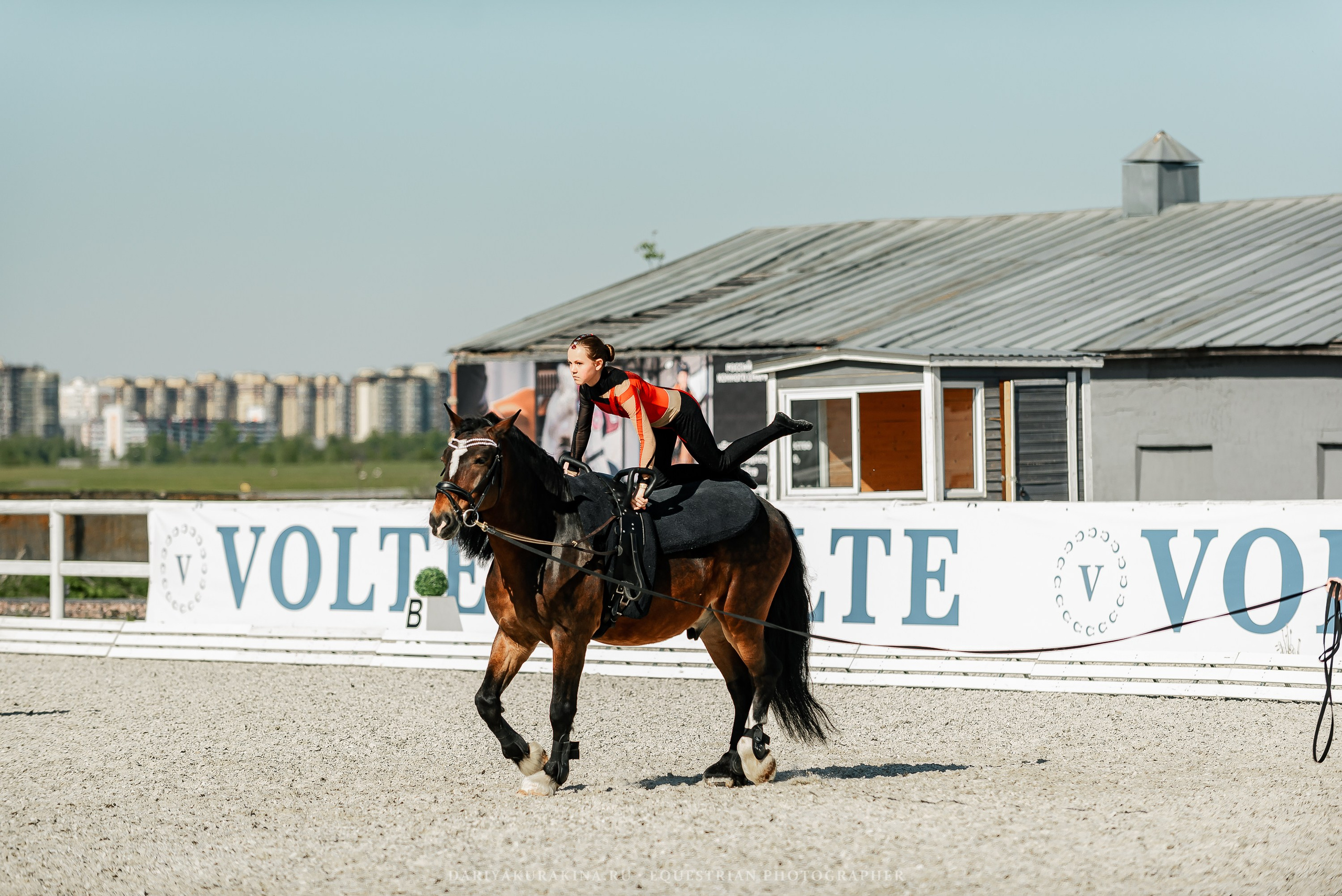 РЕПОРТАЖ МКК ВОЛЬТ «LA TULIPS». Конный фотограф Куракина Дарья • Фотосессии с лошадьми