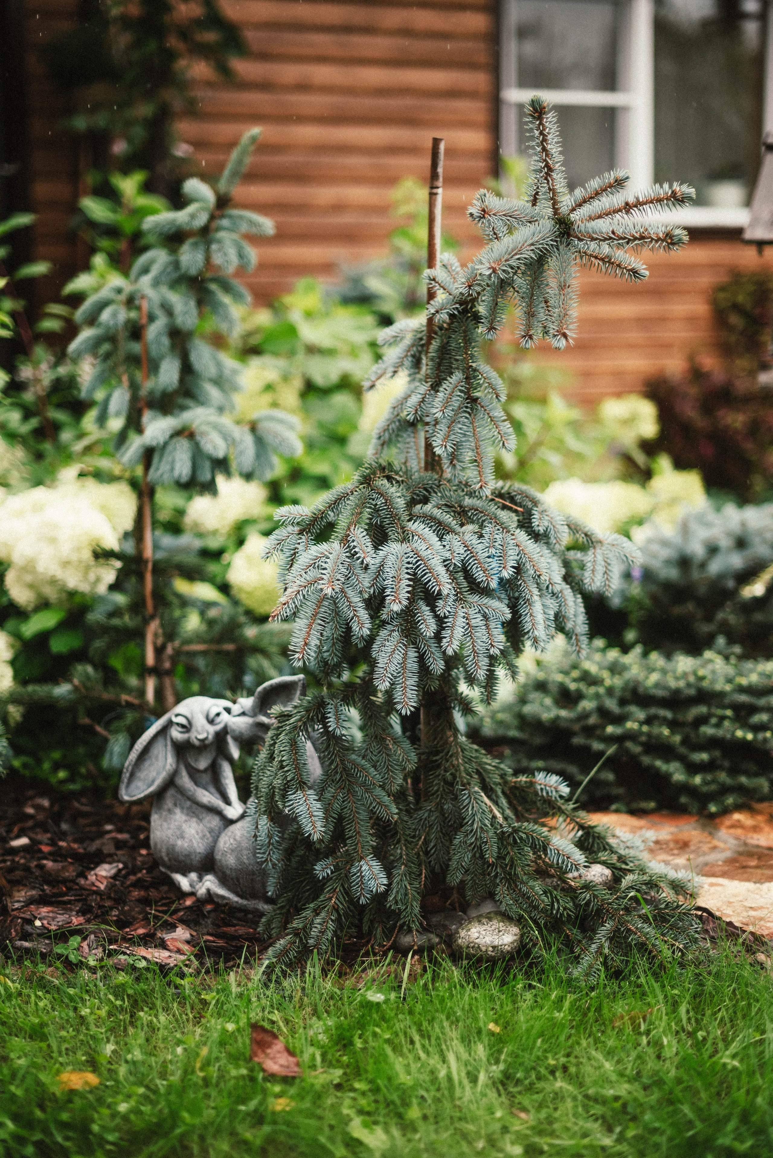 Лесное царство Оксаны. Свадебный и семейный фотограф в Новосибирске, Санкт-Петербурге, Москве