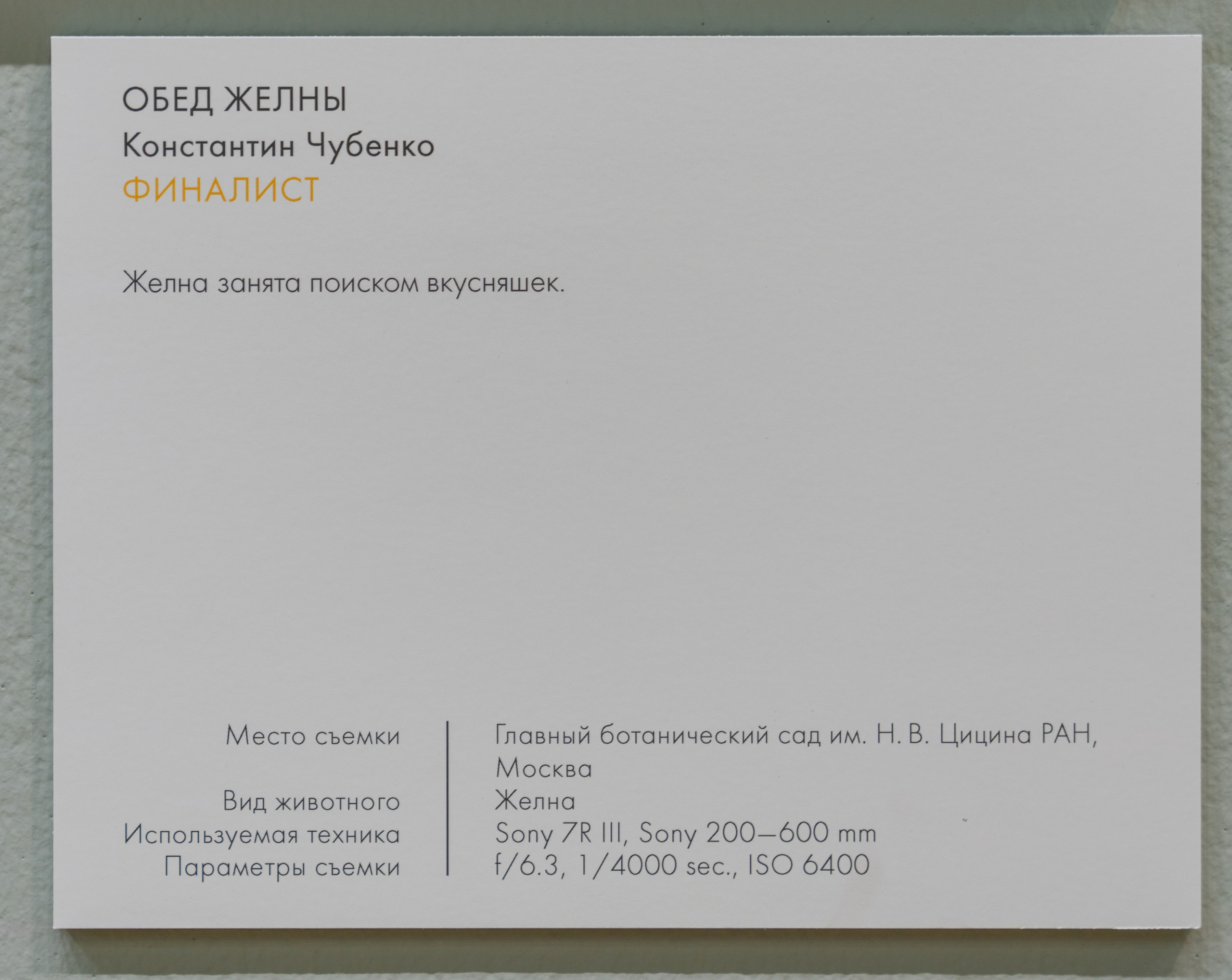 Достижения. Константин Дем | Фотограф