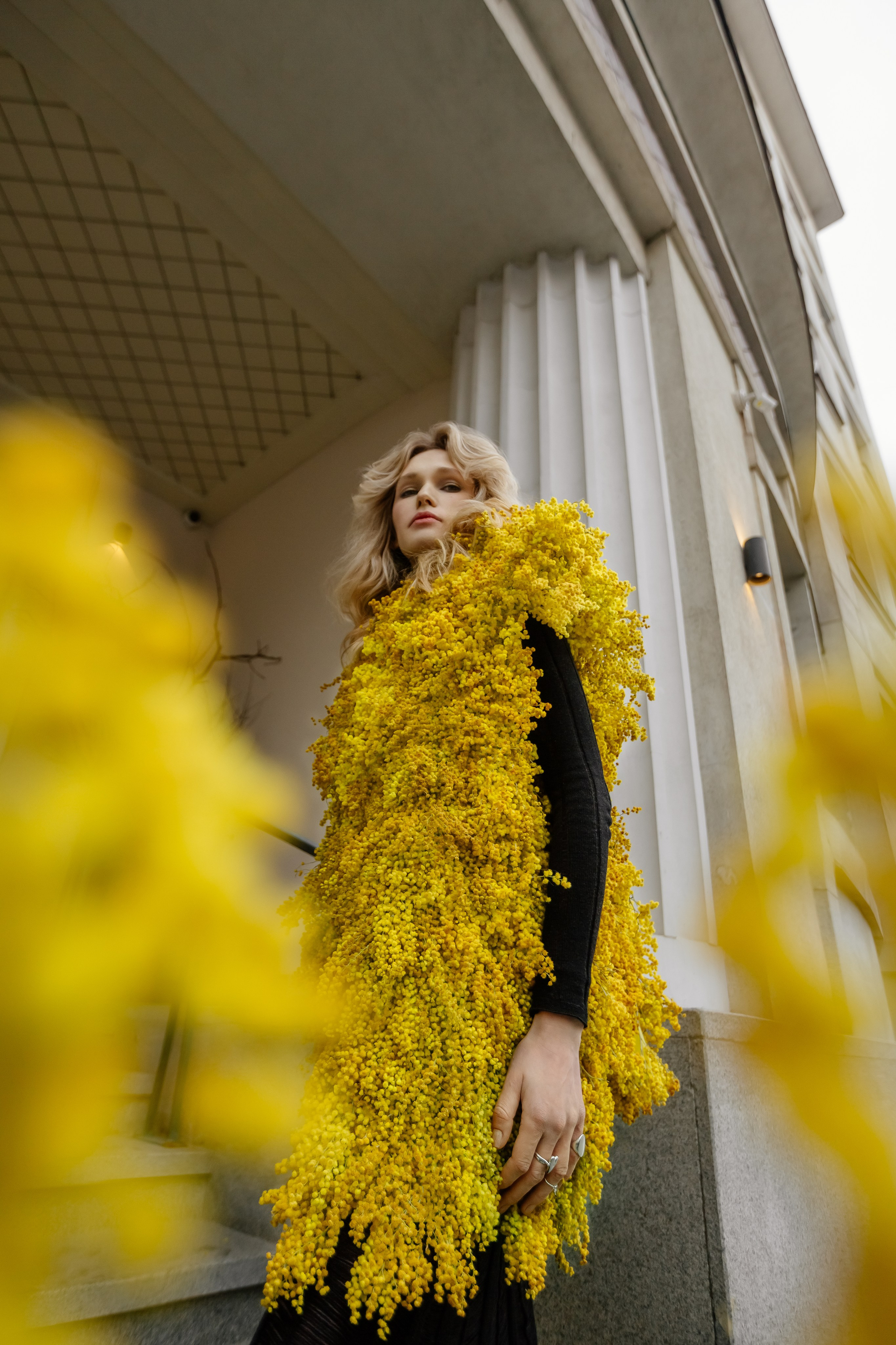 Mimosa outfit. Профессиональный фотограф Инесса Новикова в Москве