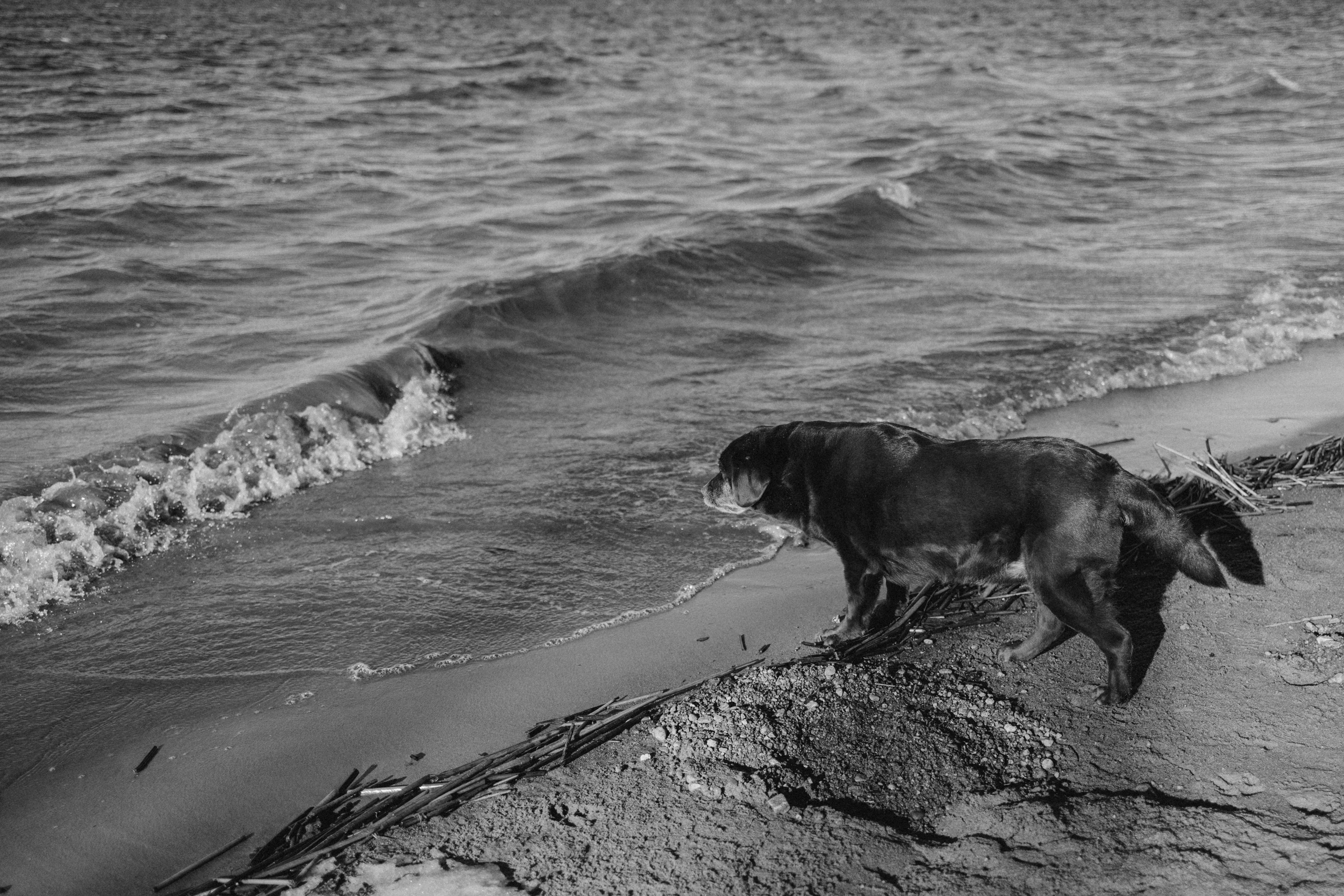 Оля и Питоня. Фотограф — Анималист | Санкт-Петербург