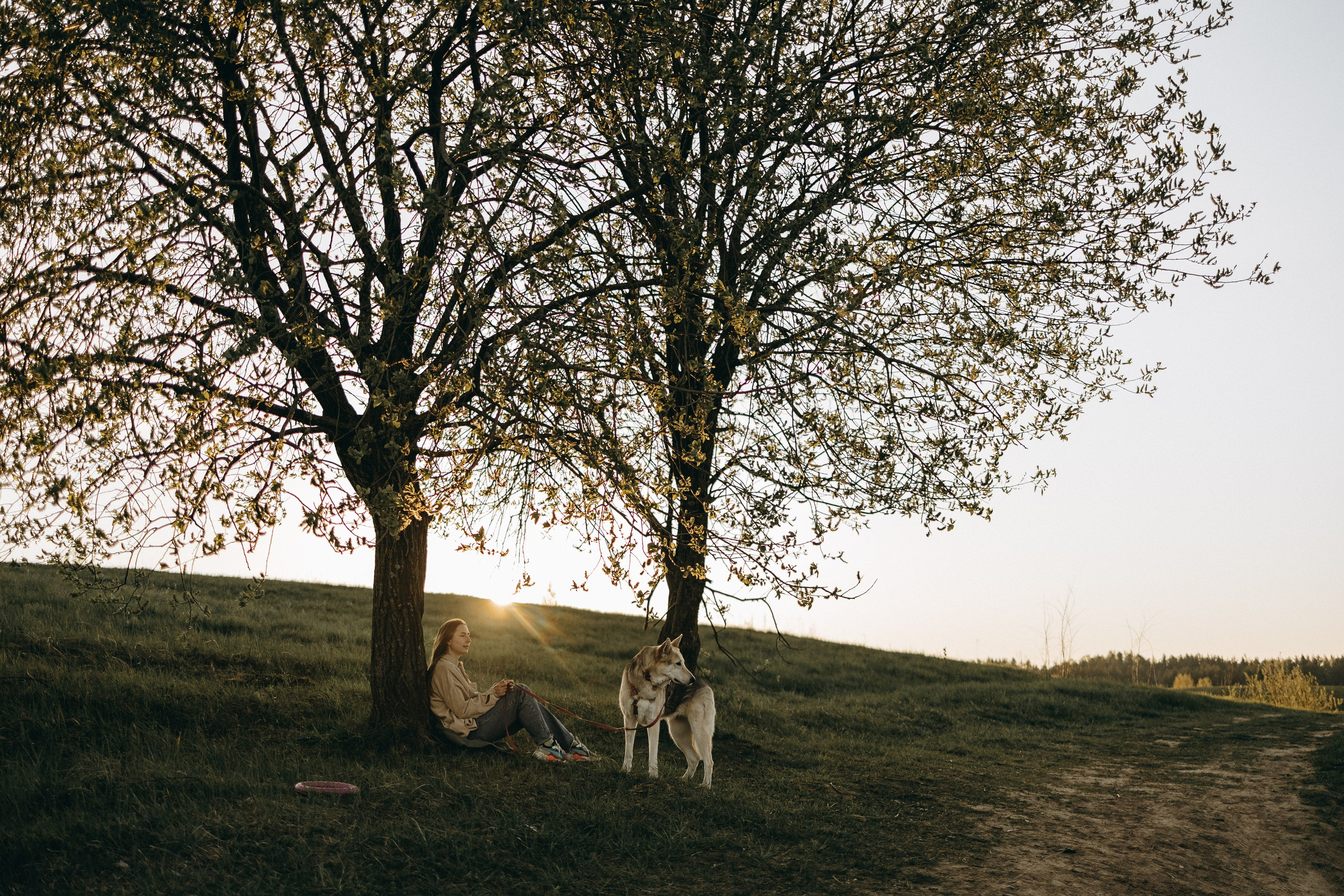 Саша и Зельда. Фотограф — Анималист | Санкт-Петербург