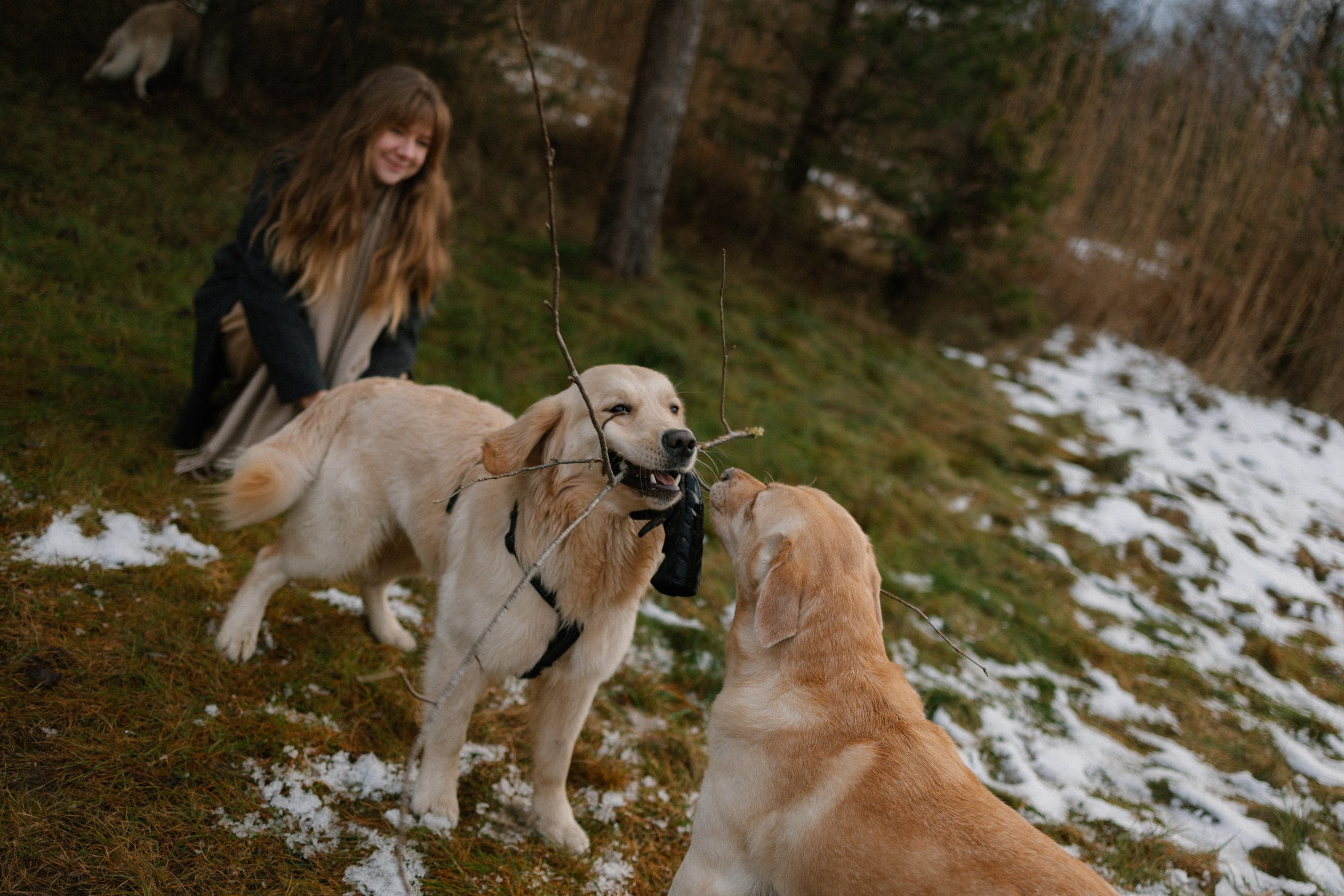 Ирина и Бася. Фотограф — Анималист | Санкт-Петербург