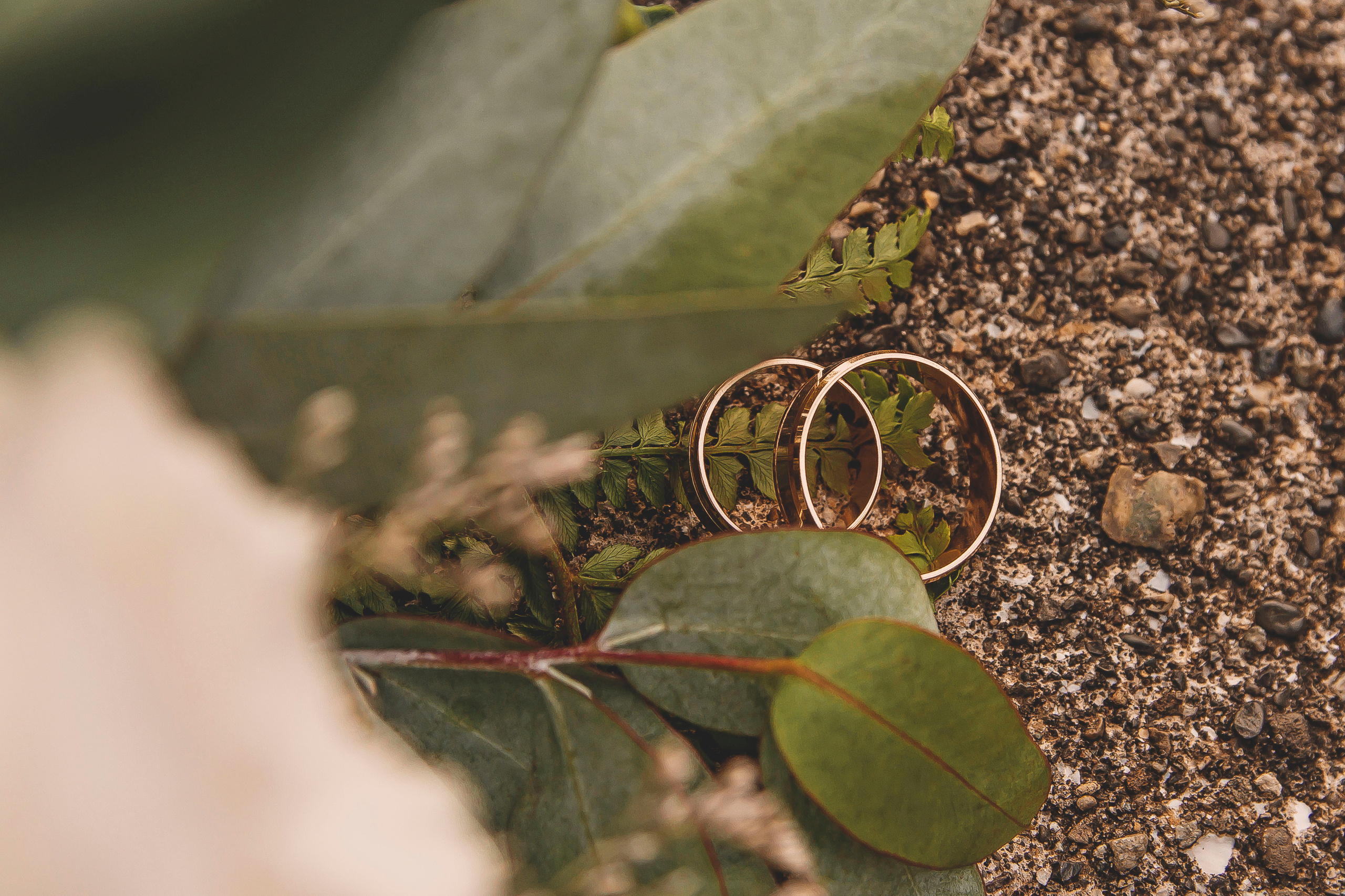 Евгения и Михаил, сан. Орджоникидзе Сочи. Свадебный и семейный фотограф Колоскова Мария (Сочи и весь мир)