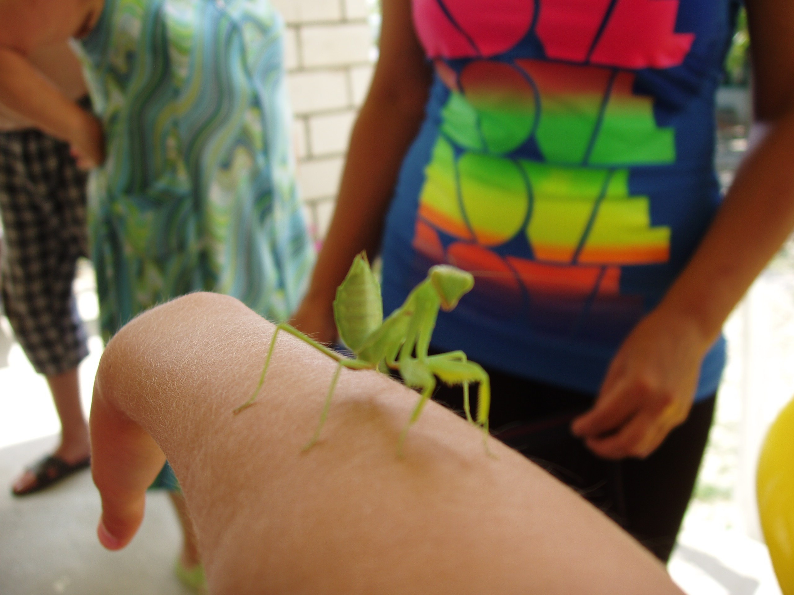 Отпуск 27.05-16.08. Семейный, Свадебный фотограф СПБ Питер— Романова Екатерина