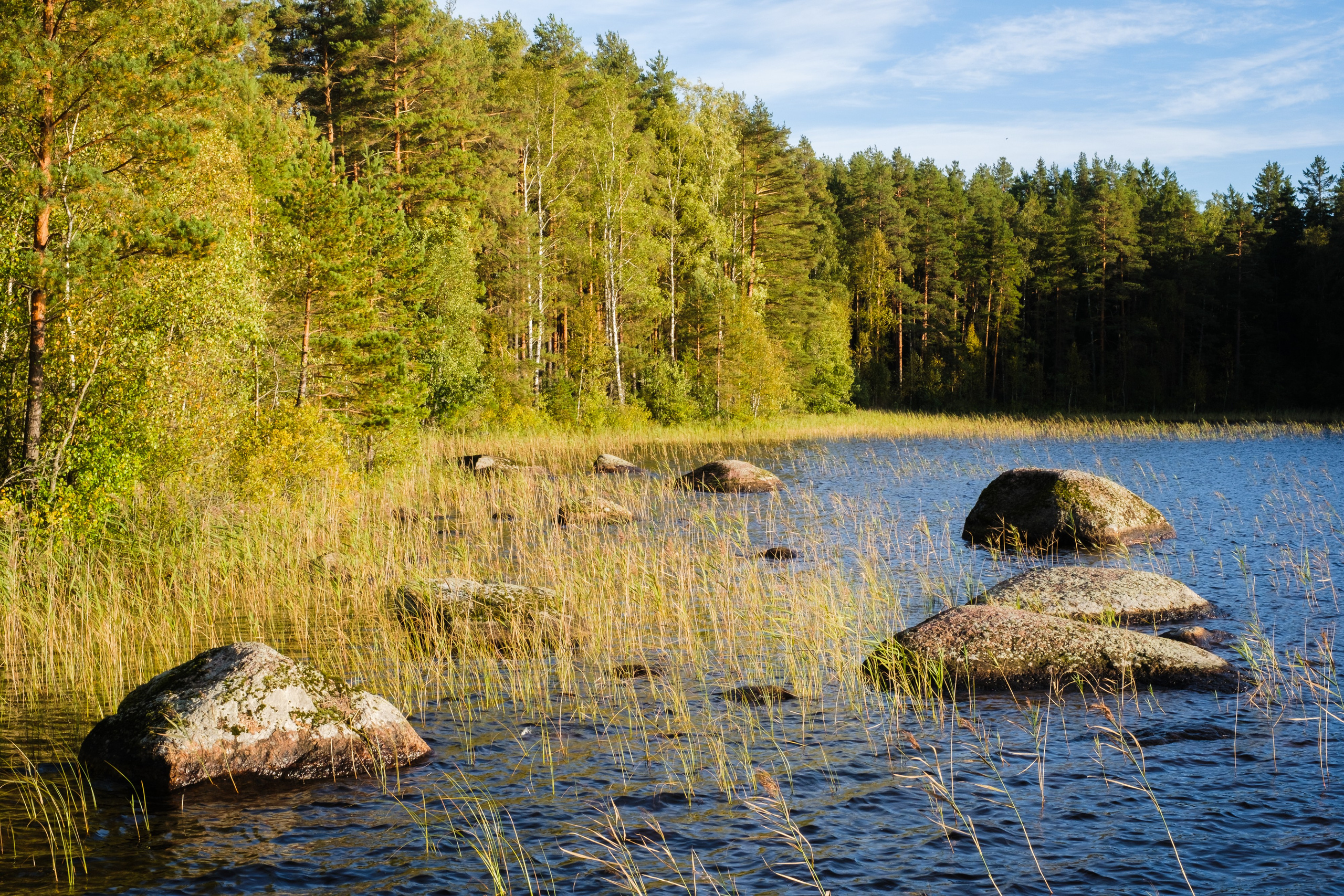 Осеннее заходское | 2024
