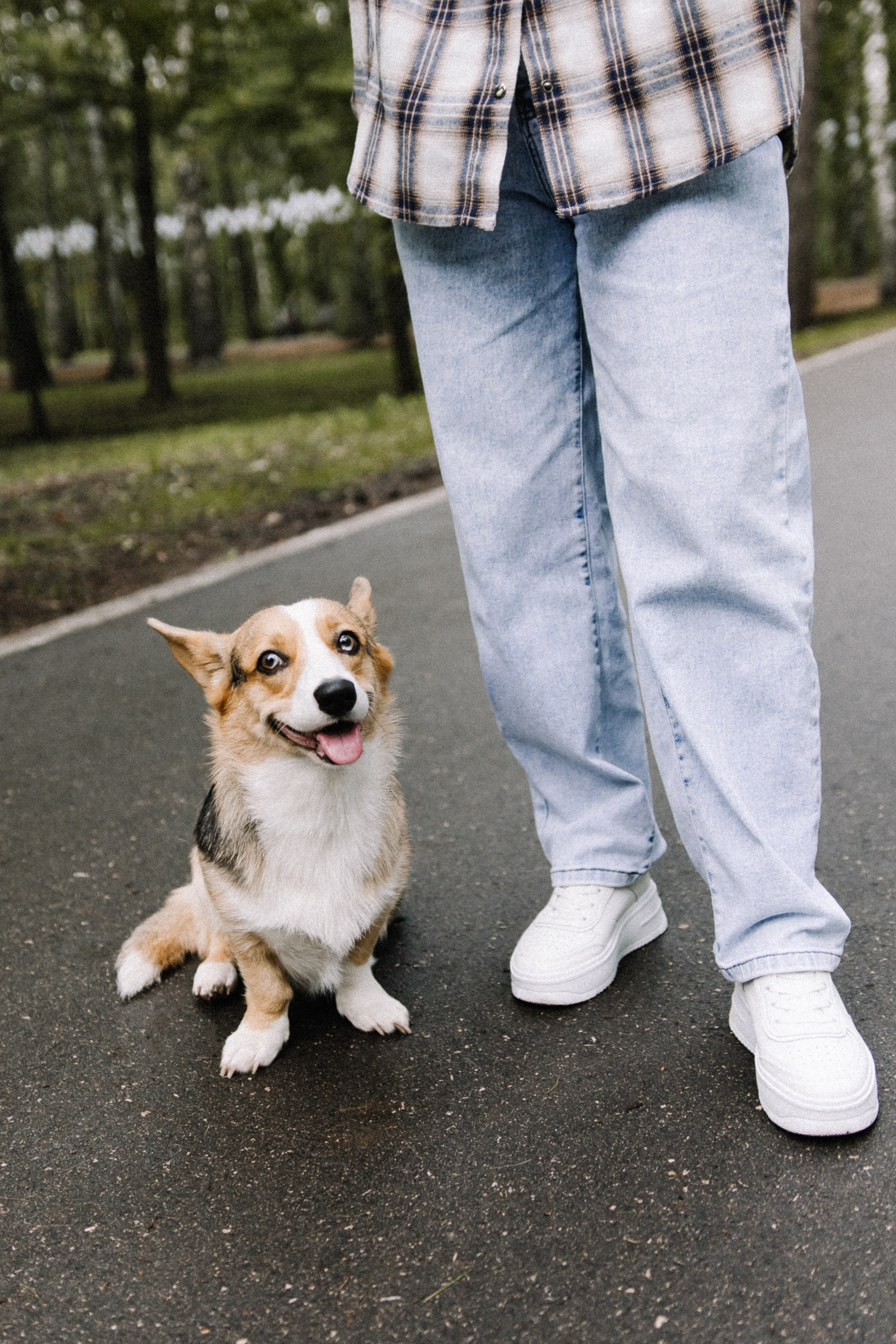 Алина и Тома. Фотограф в Кирове и Кирово-Чепецке Валерия Шиляева
