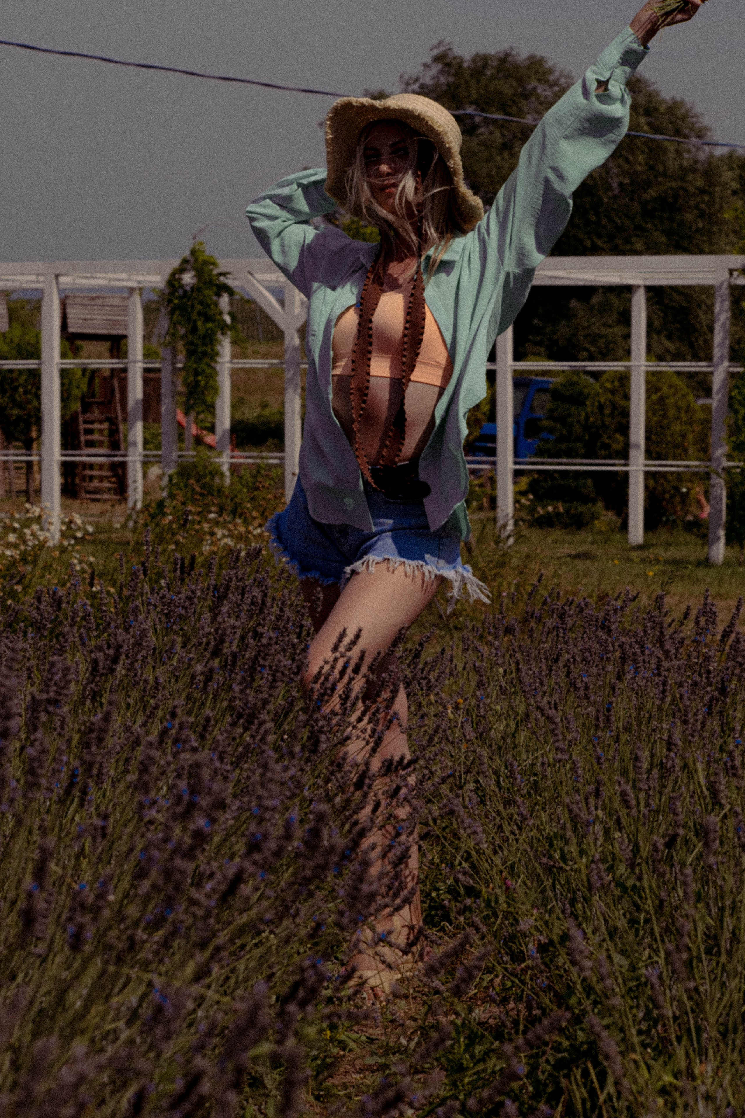 ЛАВАНВОДОВОЕ ПОЛЕ. Профессиональный фотограф, Санкт-Петербург — Виктория Богомолова