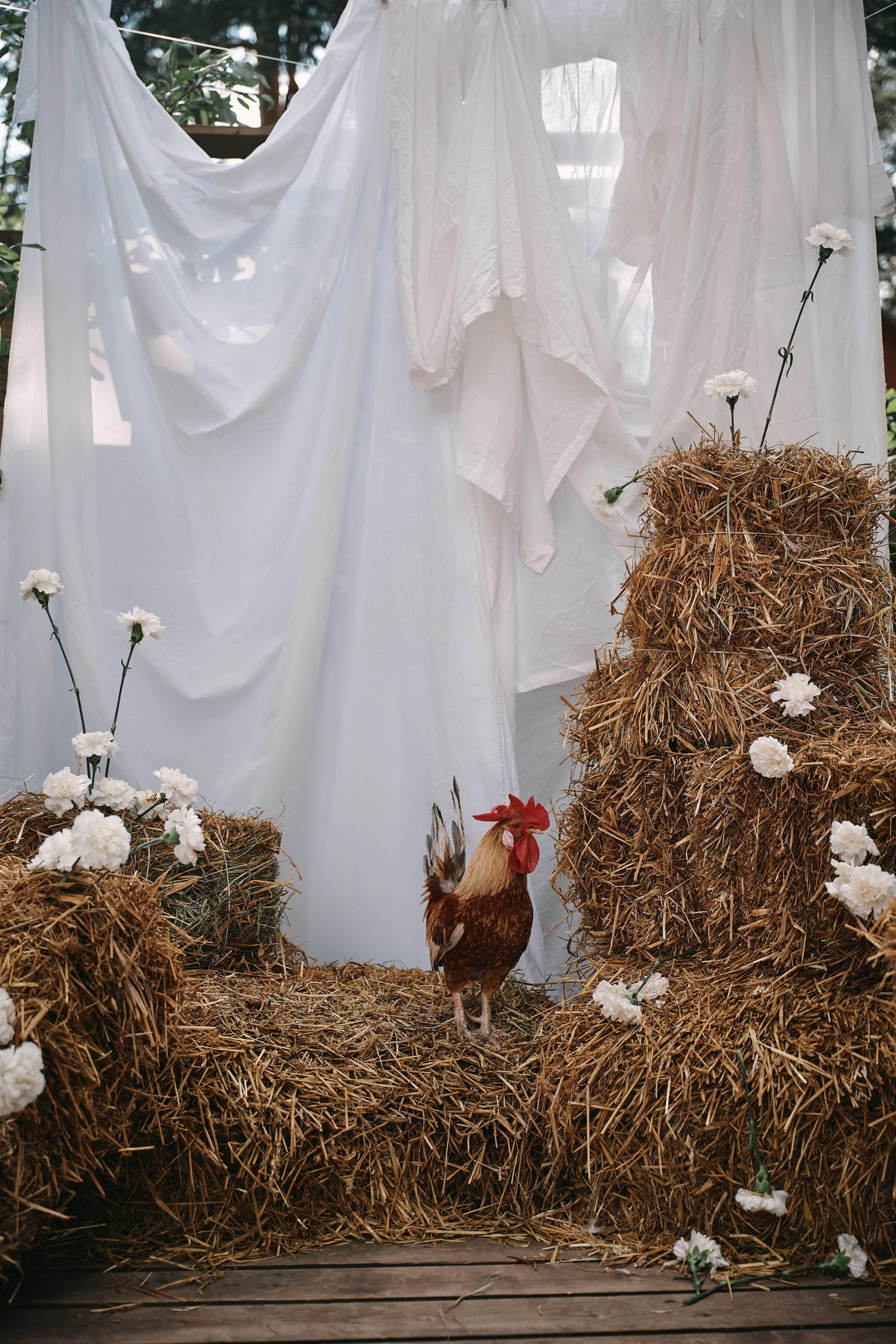 День Рождения Алины. Свадебный фотограф Сергей Фарковец