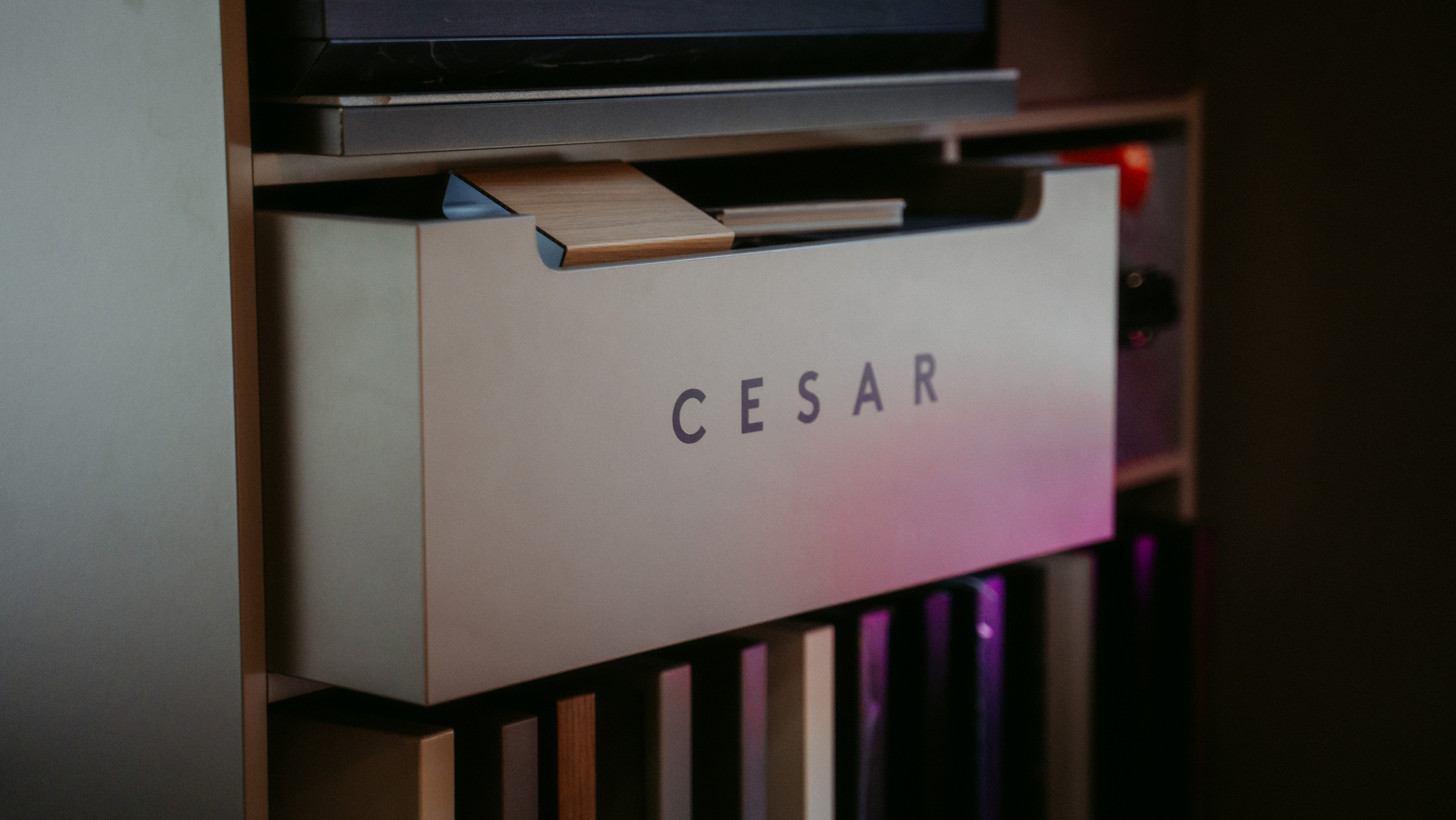 Cesar, Lualdi. Презентация итальянских брендов / 2024. Саша Копылов, фотограф в Казани