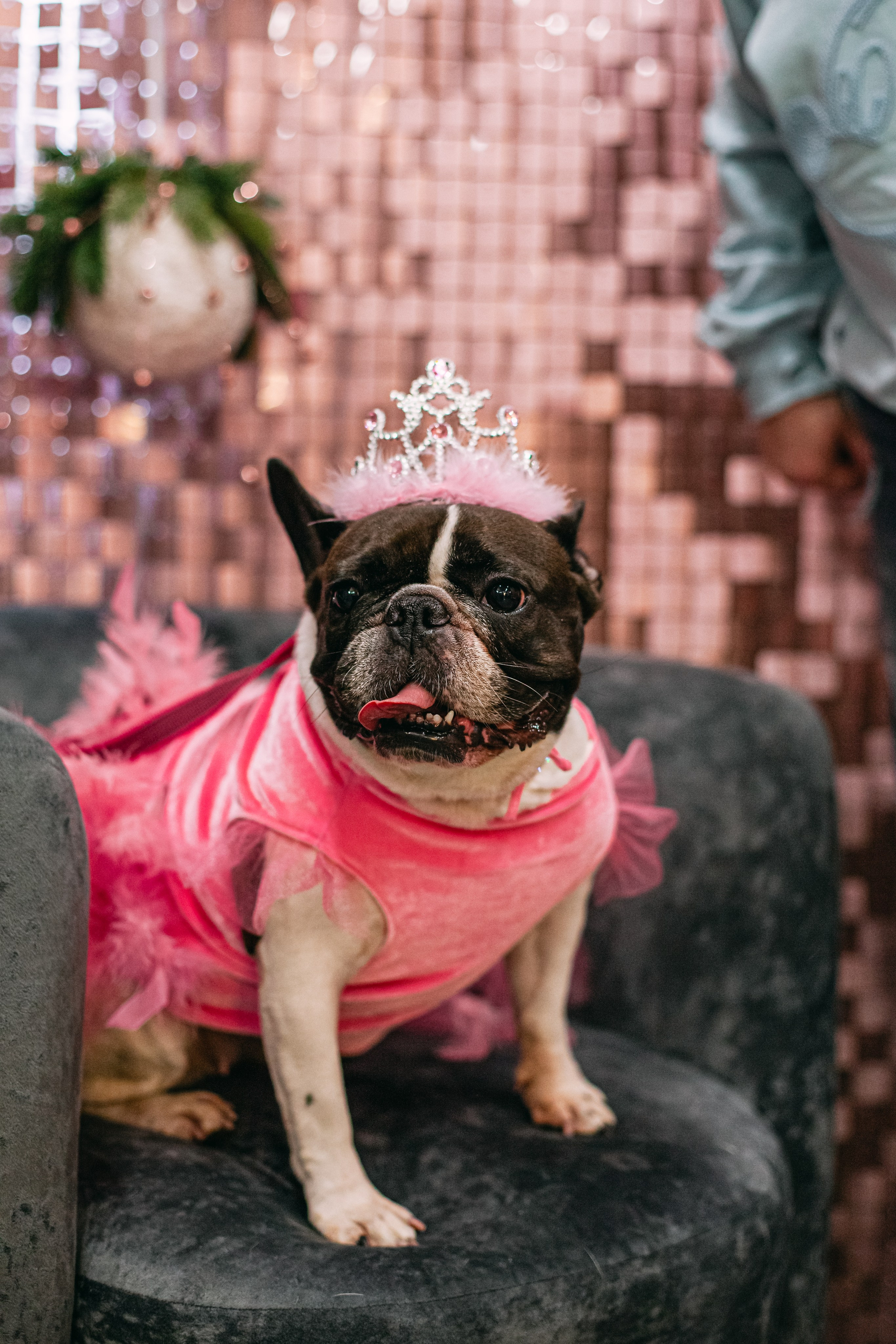 Бульёлка 2024. Фотограф-анималист Татьяна Степанова