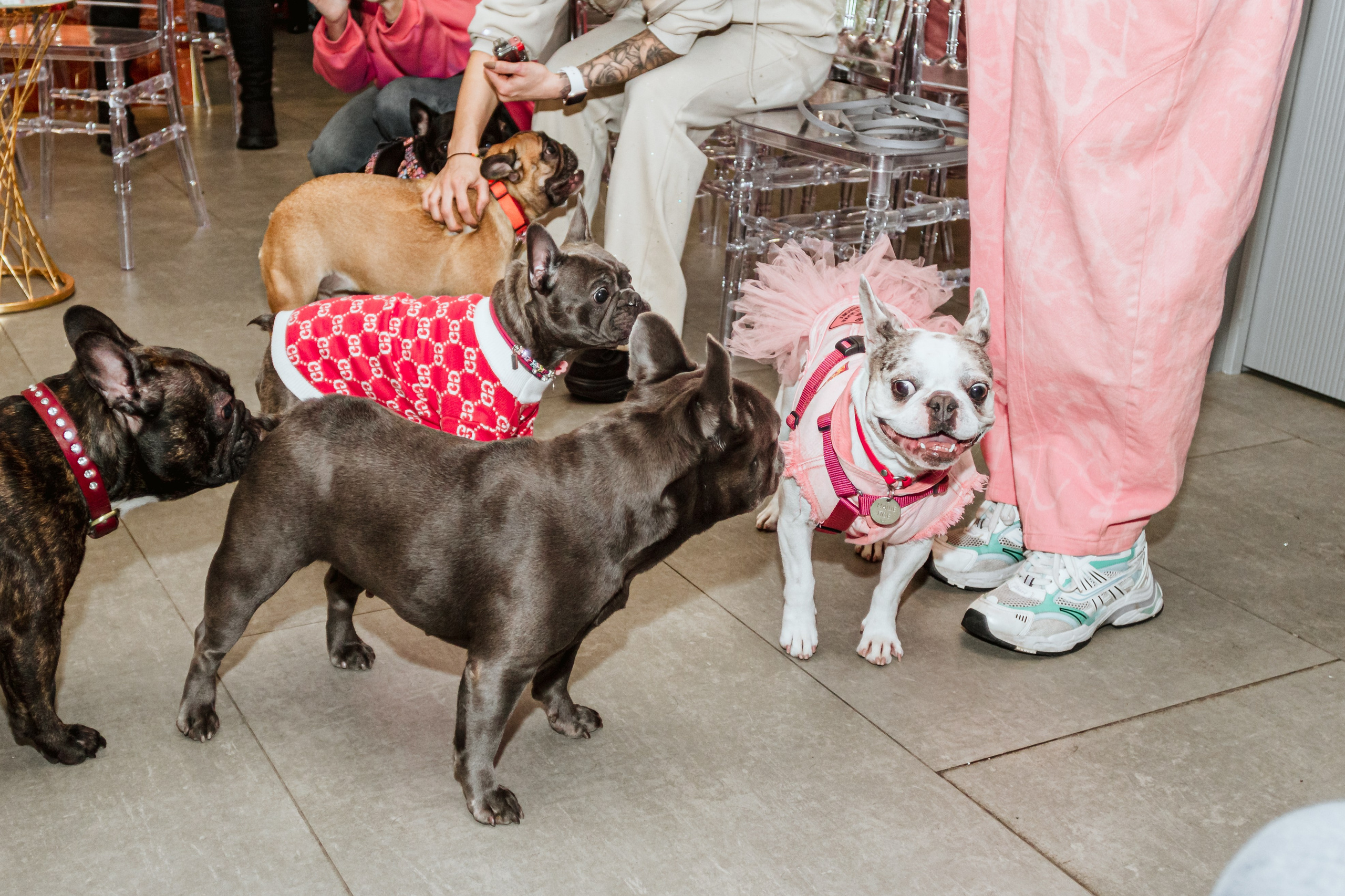 Бульёлка 2024. Фотограф-анималист Татьяна Степанова