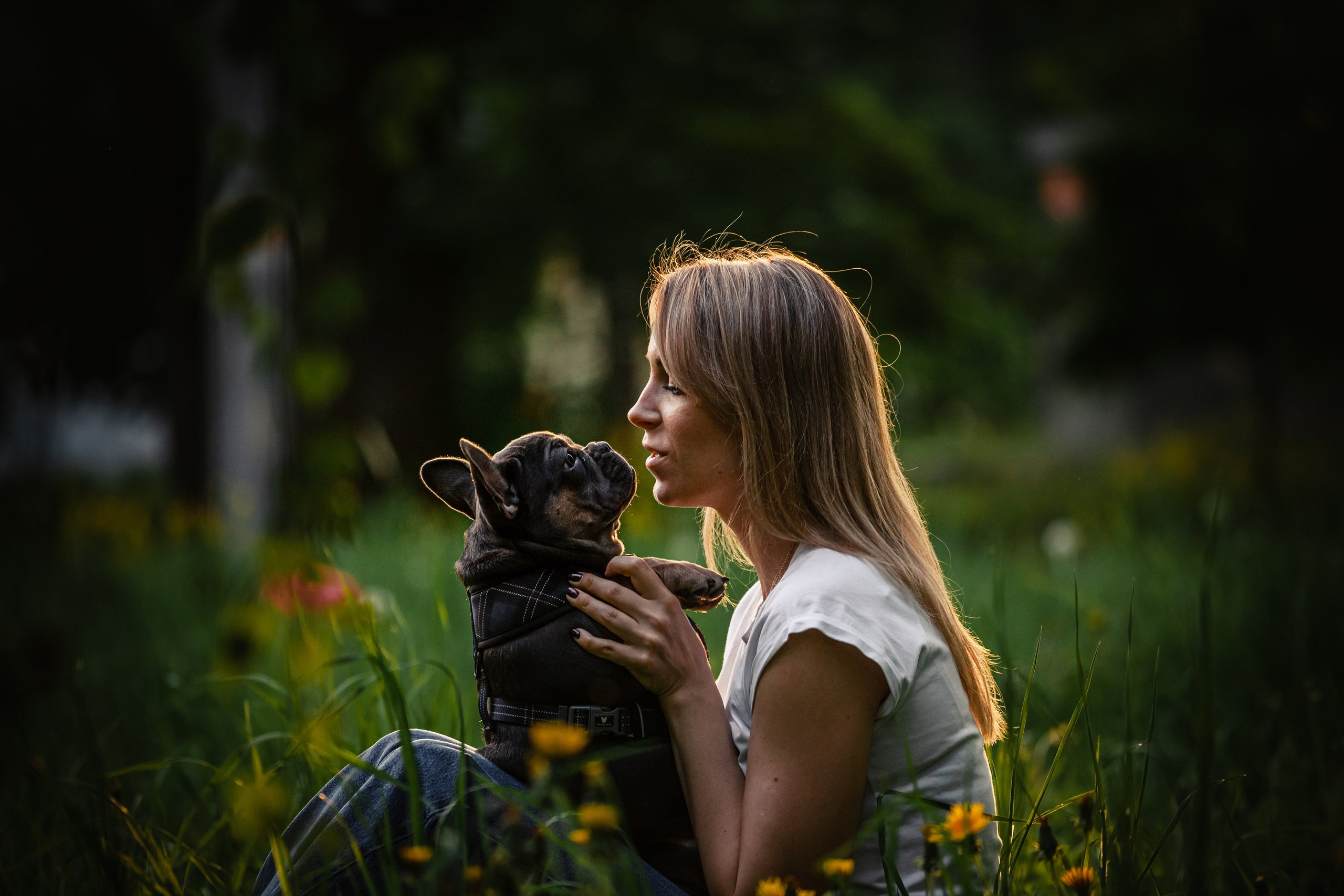 Даша и Мишель. Фотограф-анималист Татьяна Степанова