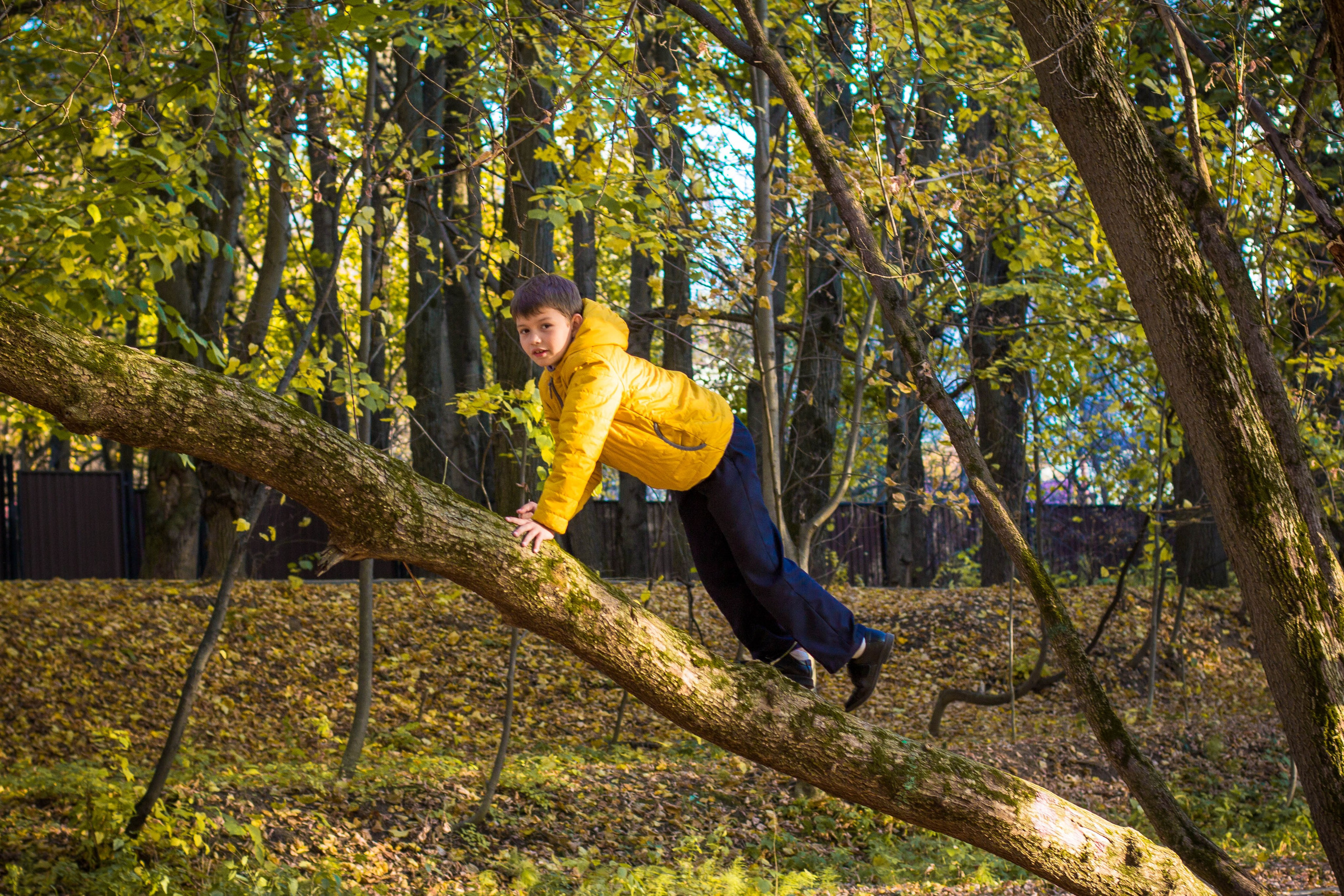 Прогулка осень Ховрино. Фотограф Москва Дылыкова Долгар