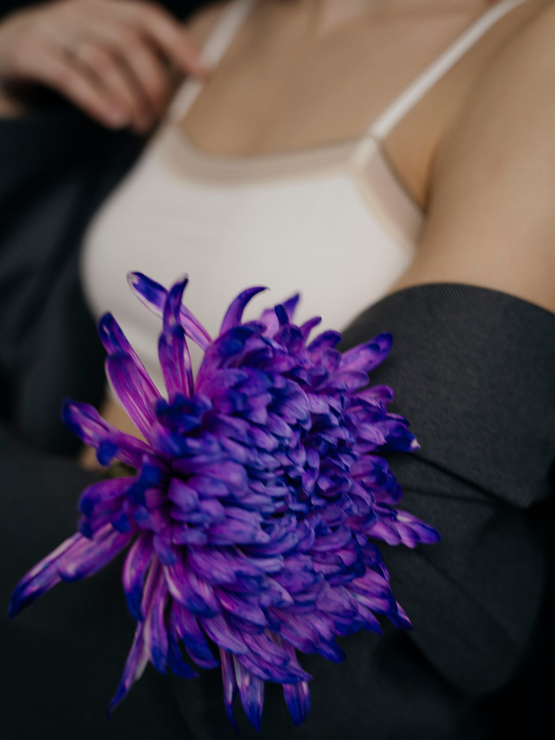 Даша. Свадебный фотограф