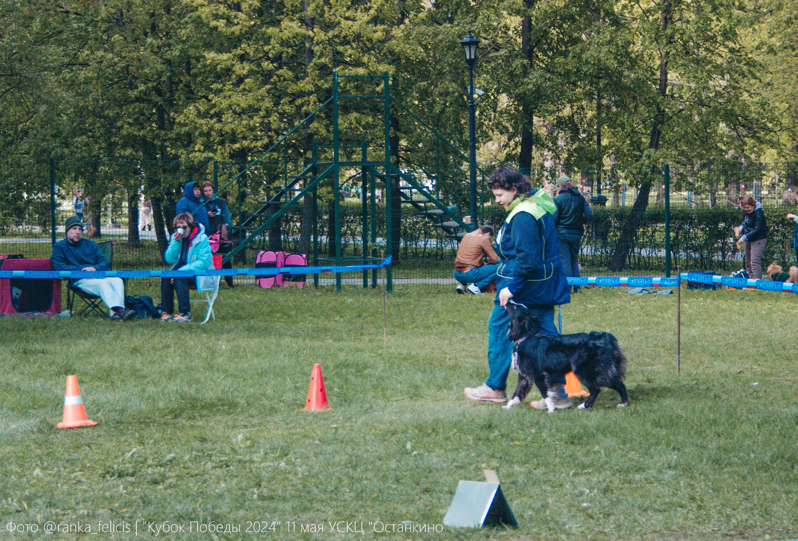 Хава. BLGKV питомник собак