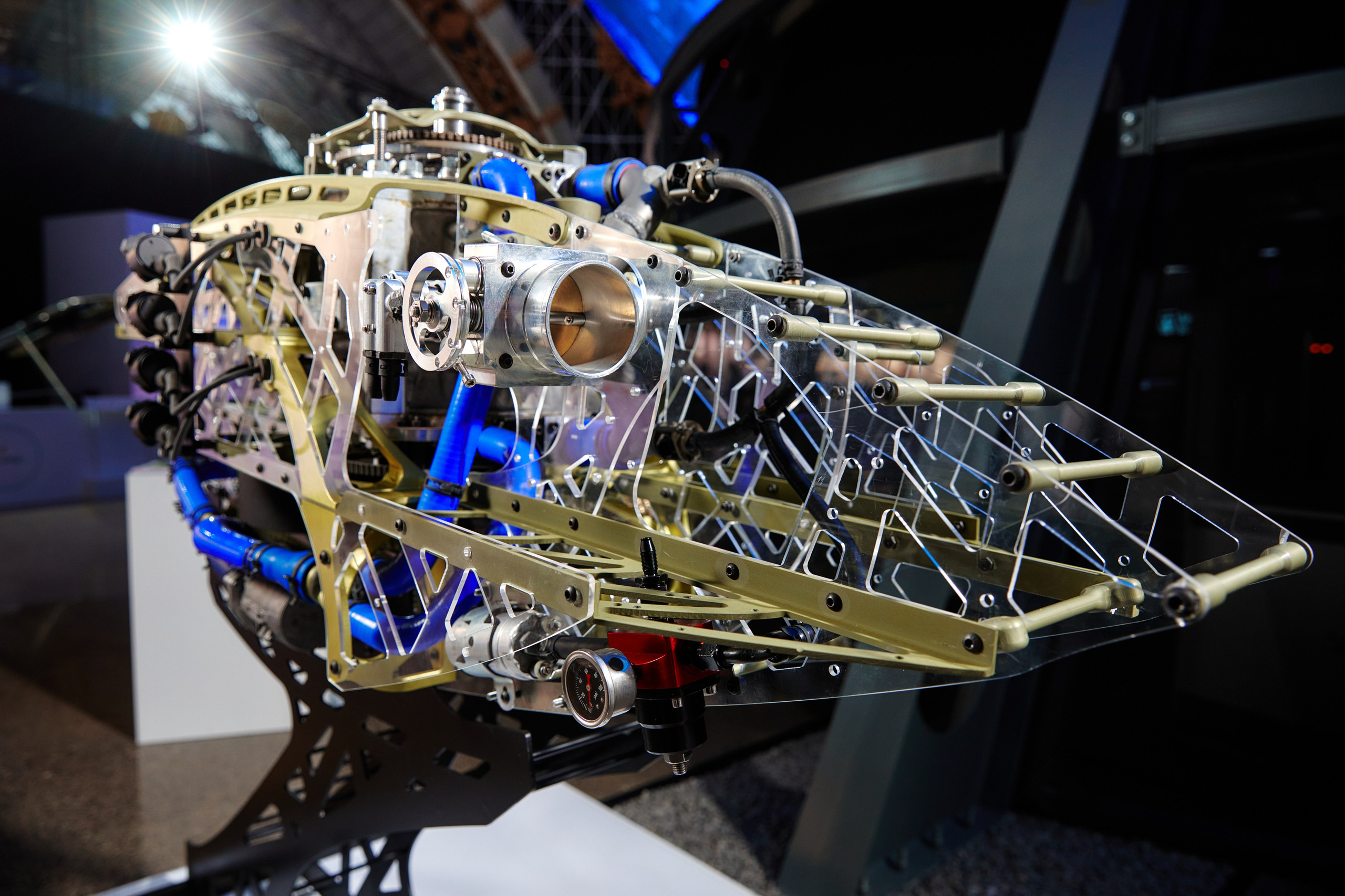 Выставки. Artem Ganja Photographer