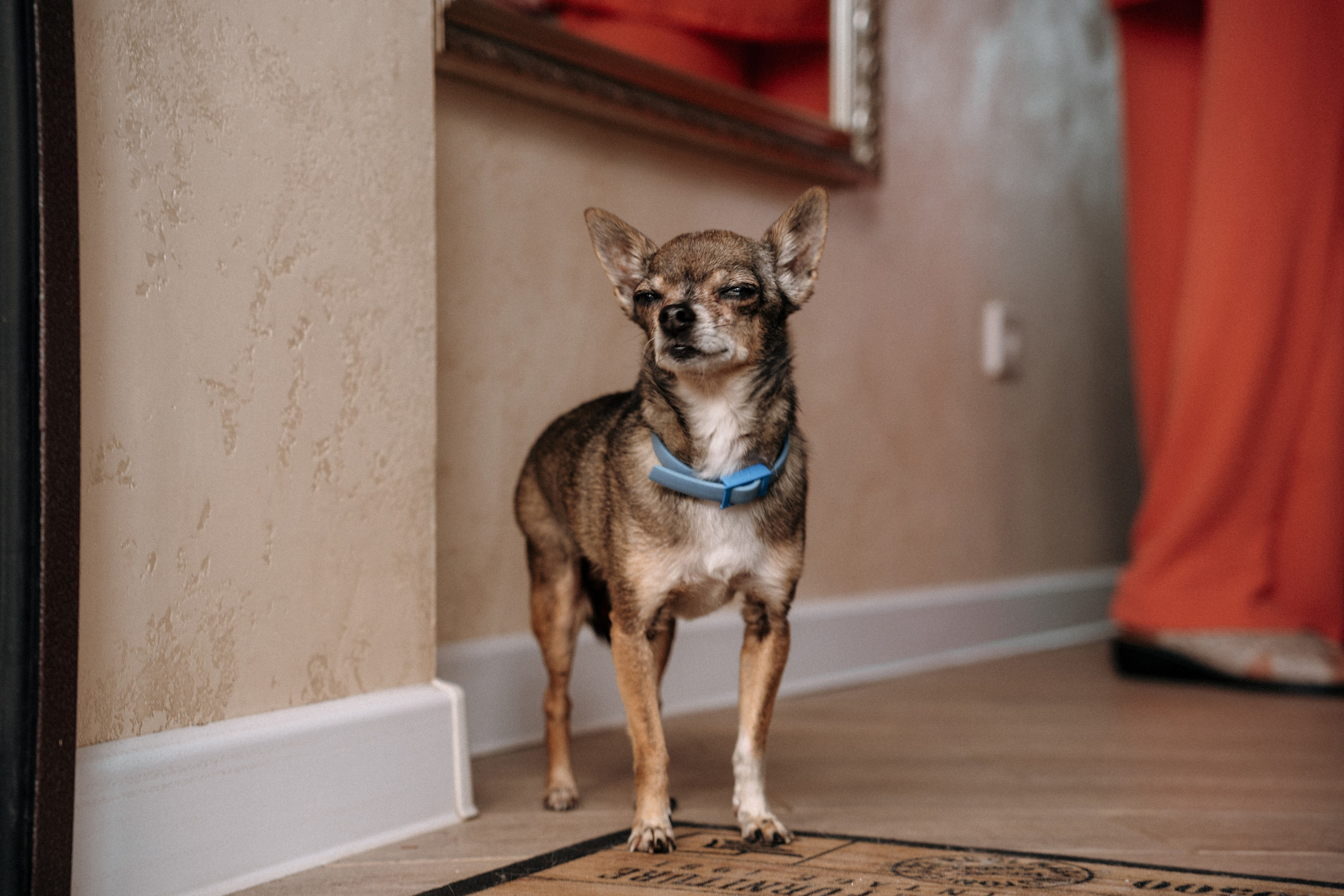 Свадебная съемка в Тамбове. Свадебный фотограф в Тамбове Павел Четвертков