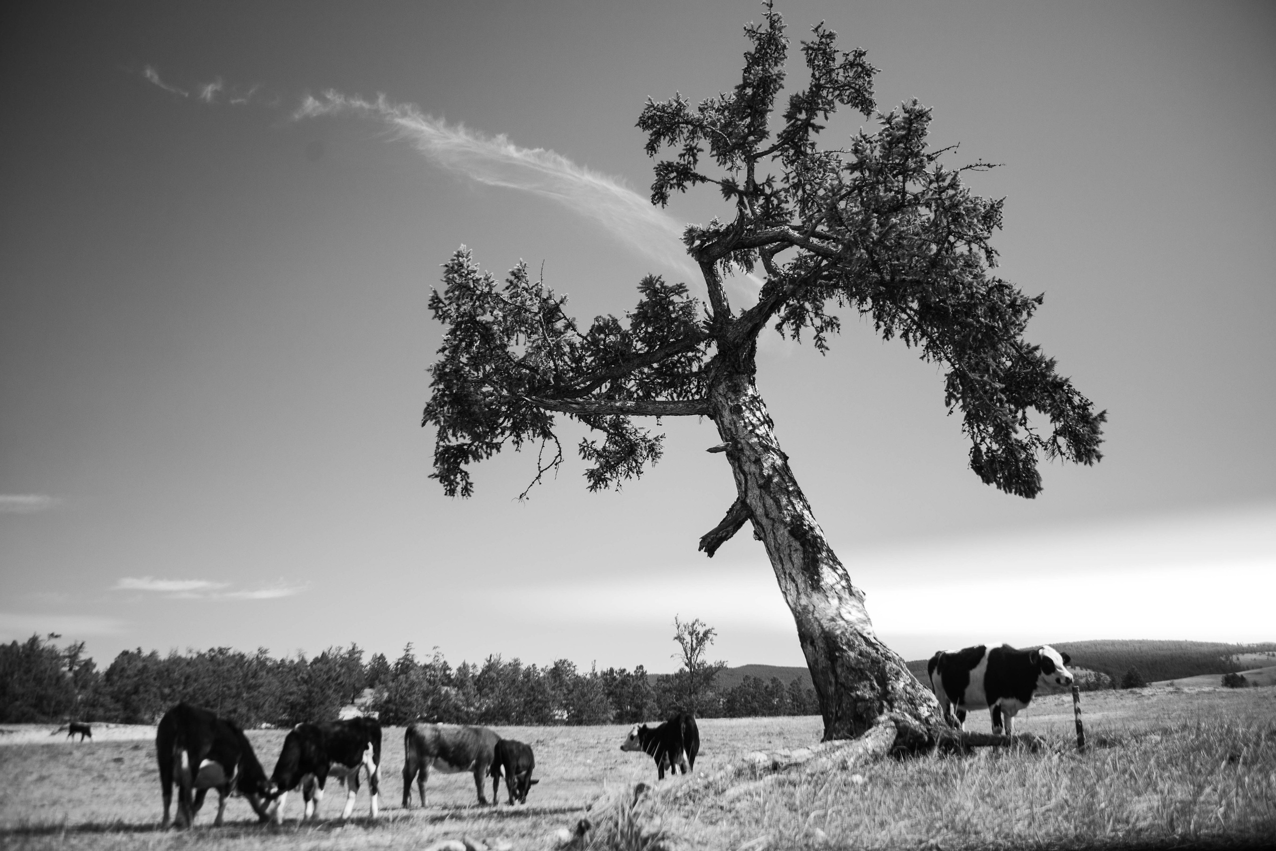 Байкал. Dubrovina photo