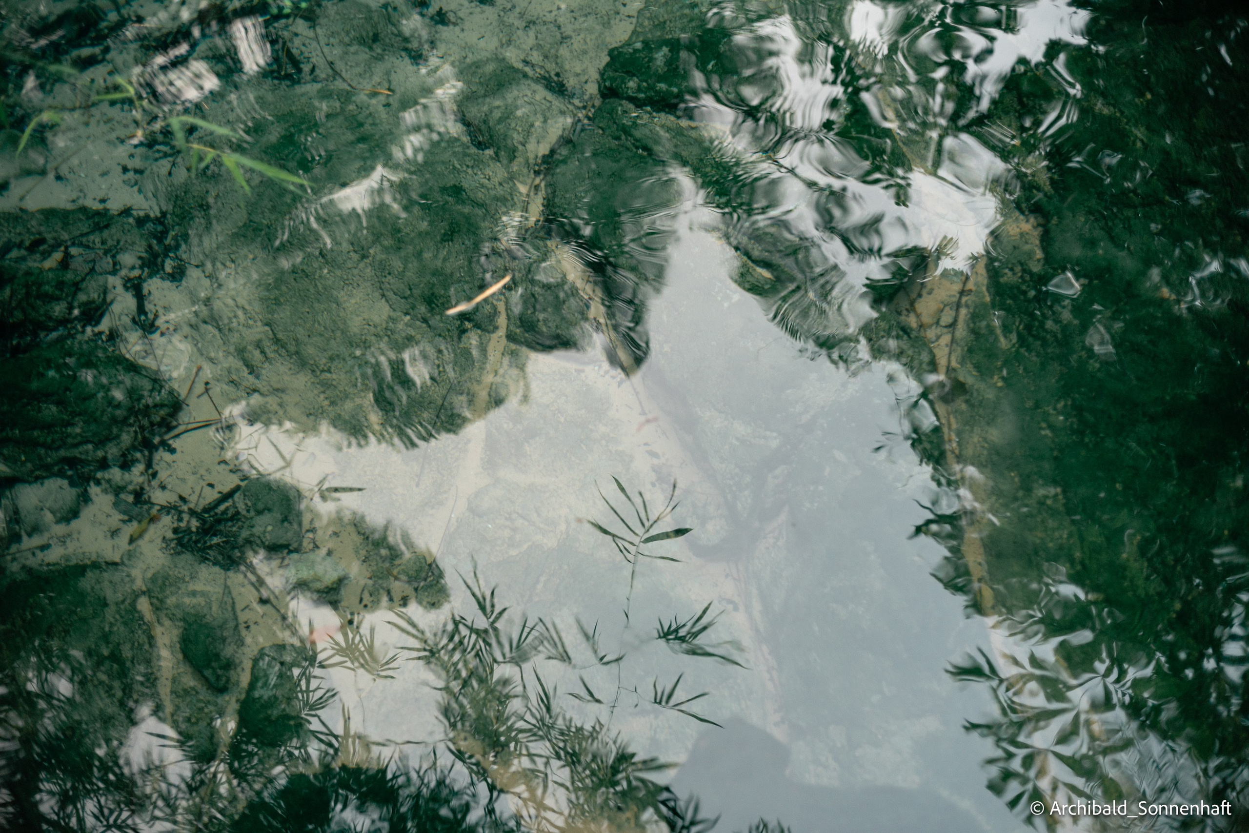 Thai monk. Photographer in Guangzhou, China. Archibald Sonnenhaft