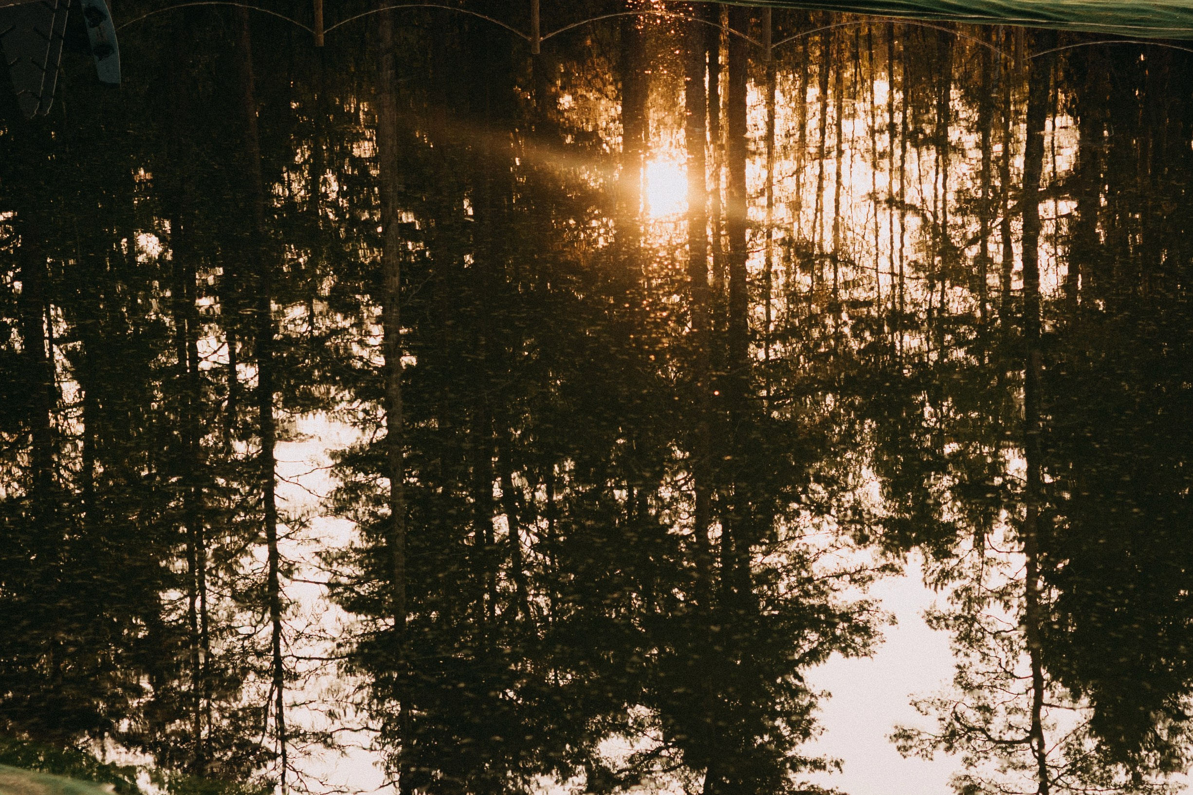 Станислав & Мария. ФОТОГРАФ РОЗА ФИЛИНА СПб I МОСКВА