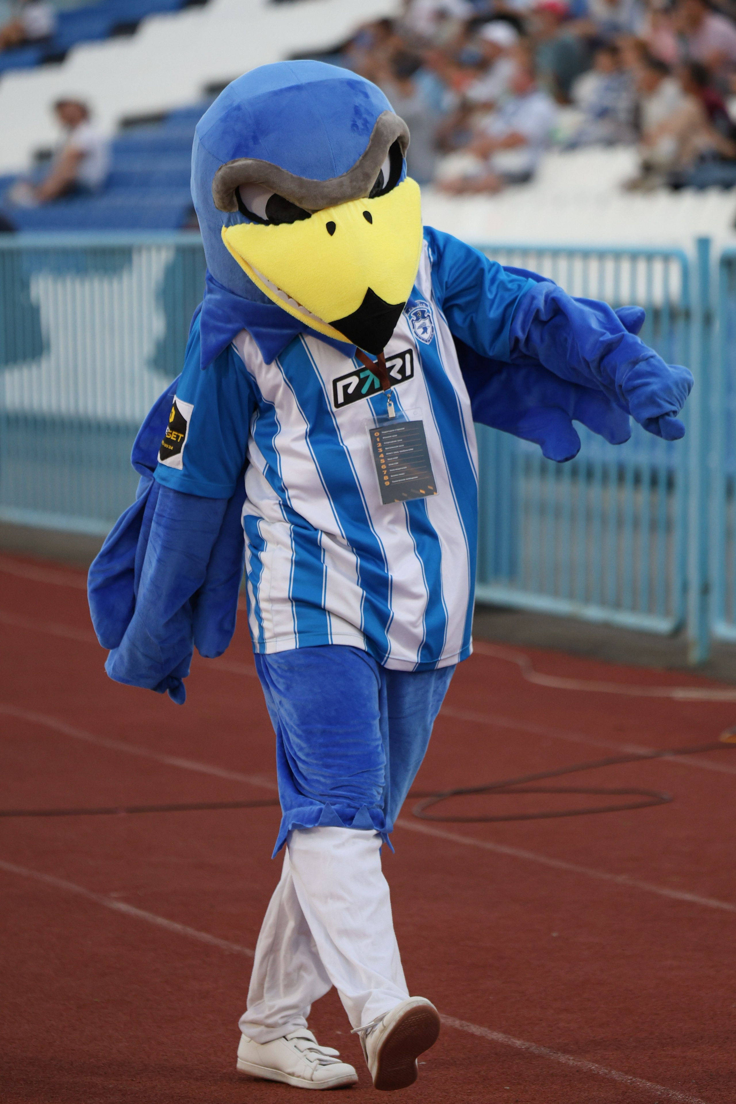 Фото футбольных матчей Первая лига ФНЛ. Фотограф Дмитрий Алексеев