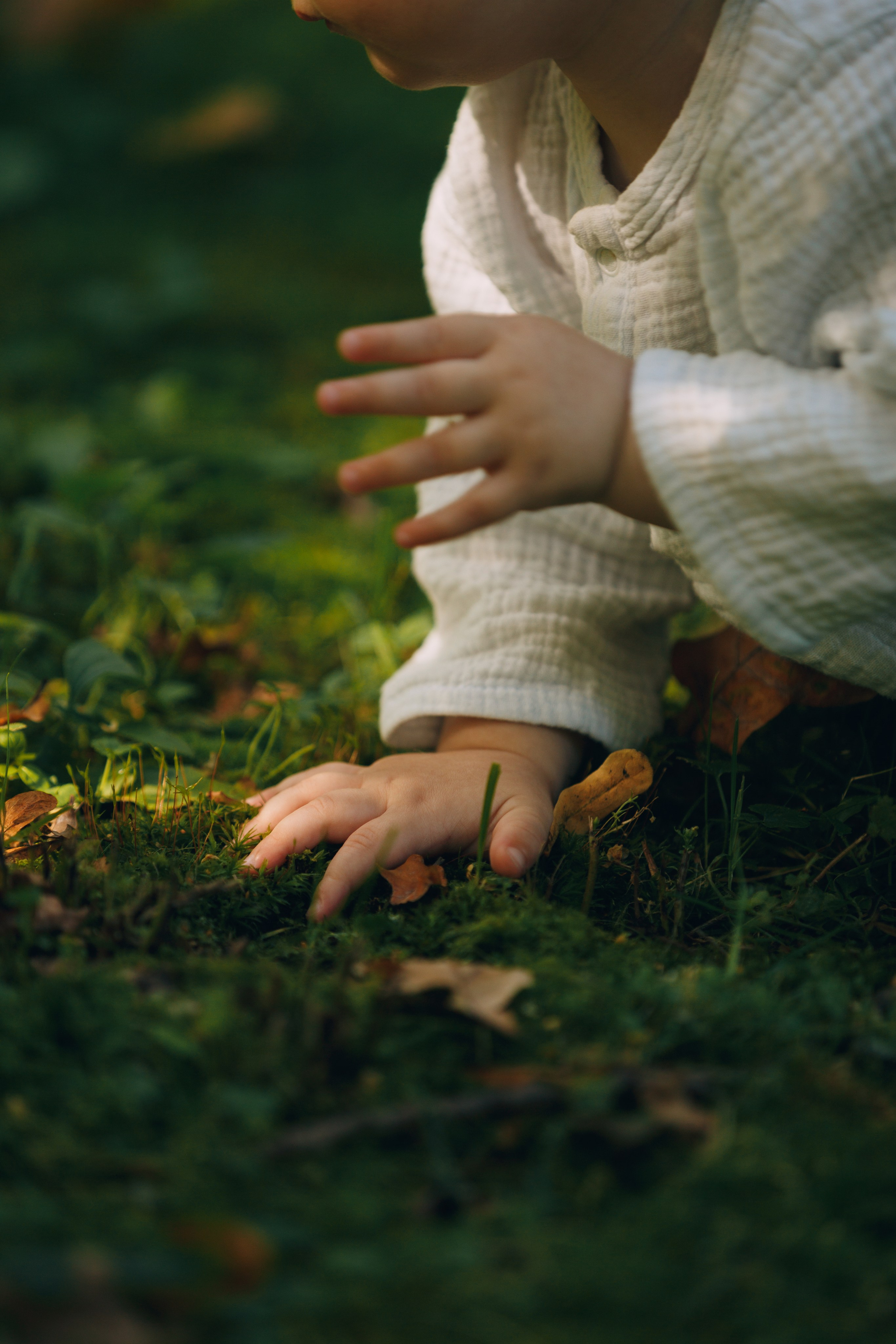 Мерф, Саша, Арсений и Андрей. Фотограф анималист Кристина Карпова, Москва