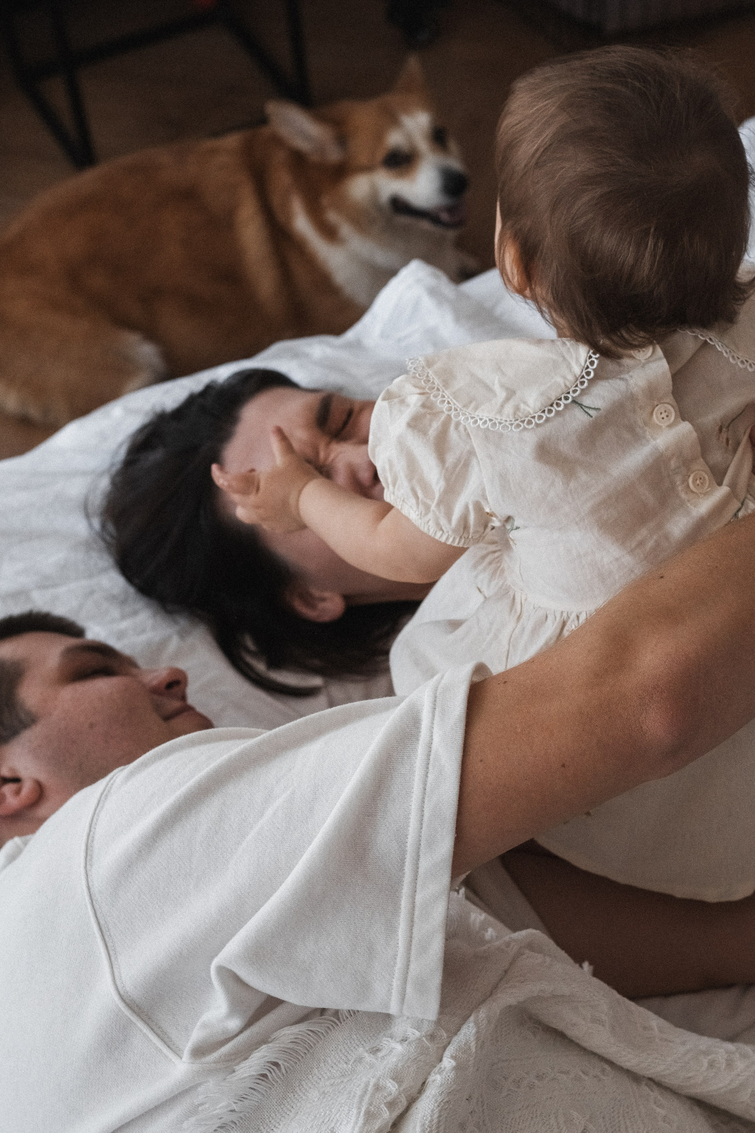 Семейная серия дома. Alenasokolowa.ru